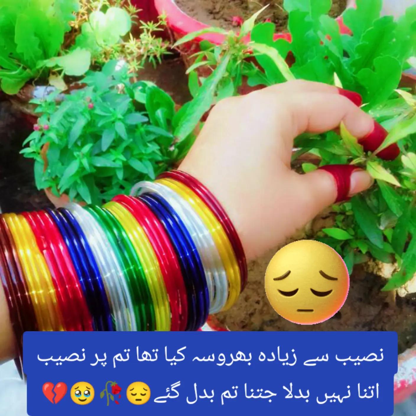 @Hassan Hussain💞