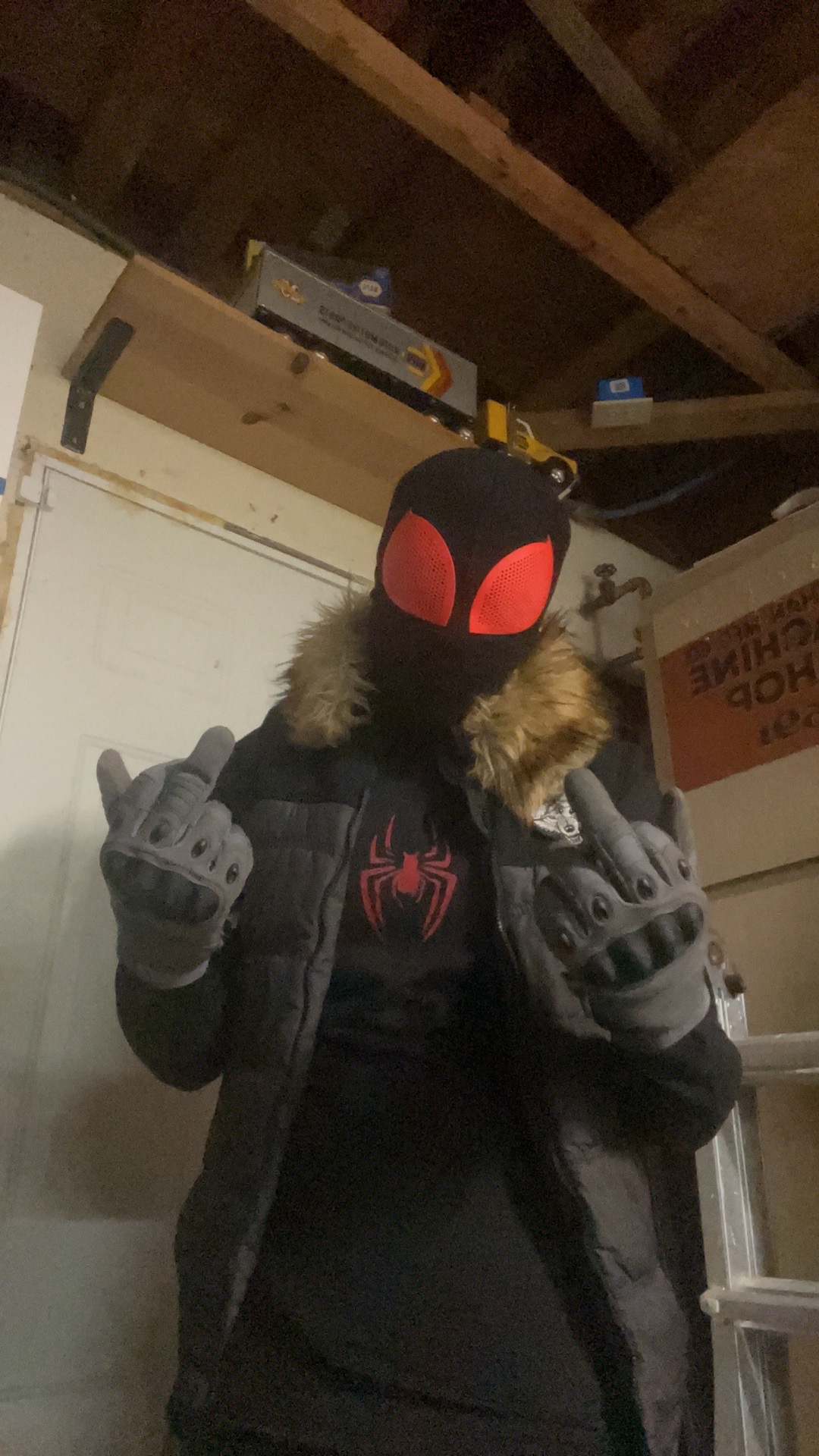 @Wolf-Spider