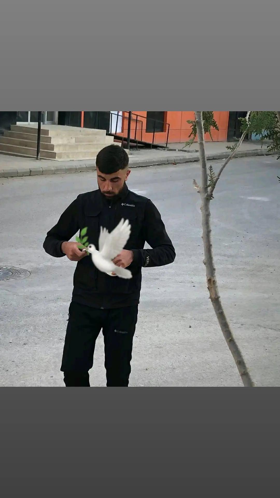 @Hasan Bozkurt
