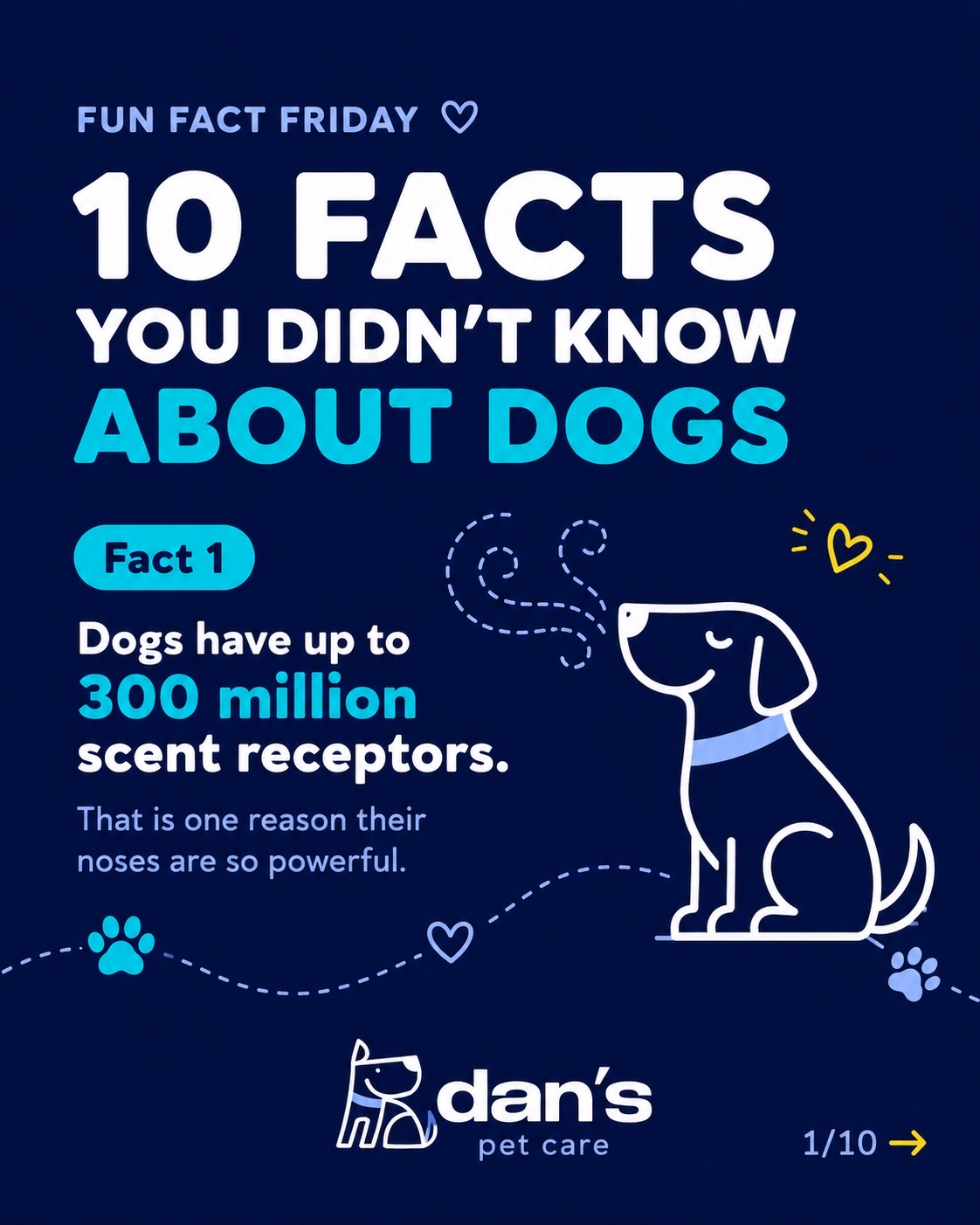 @Dan's Pet Care