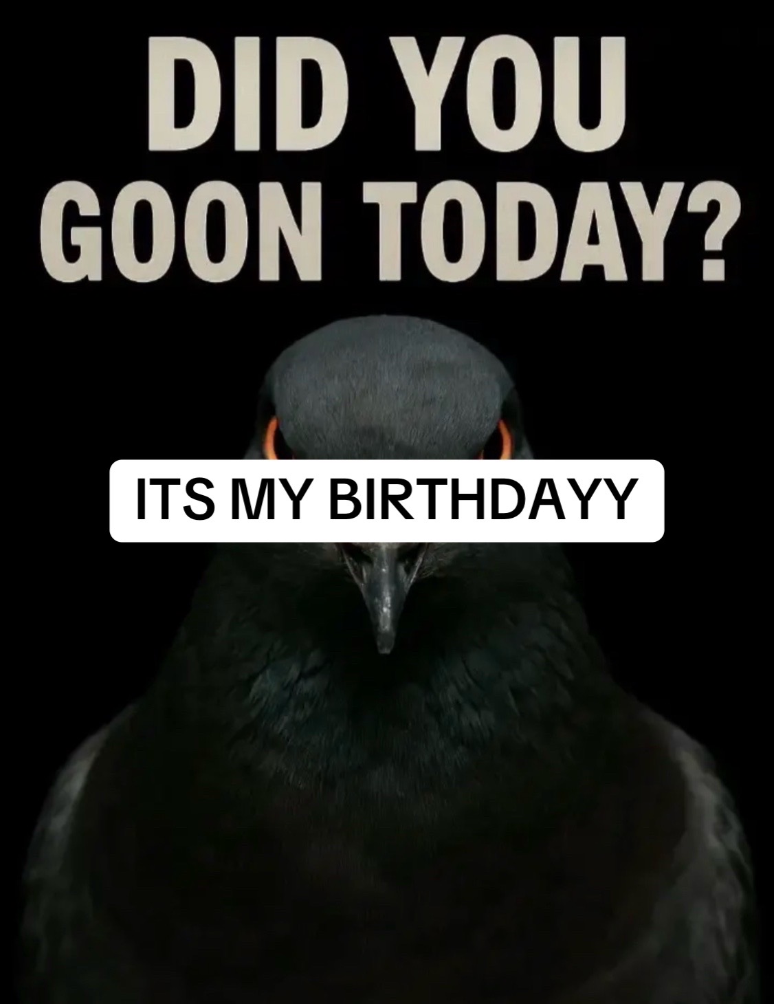 @SM69 Animations