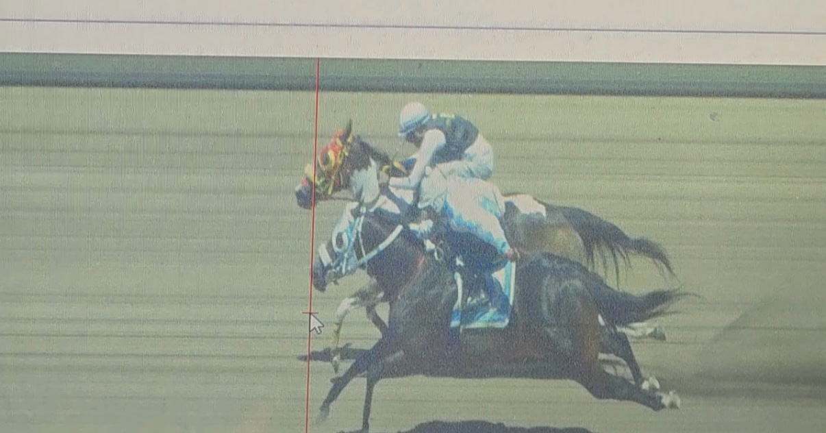 @Colorado Racing 🐎 303