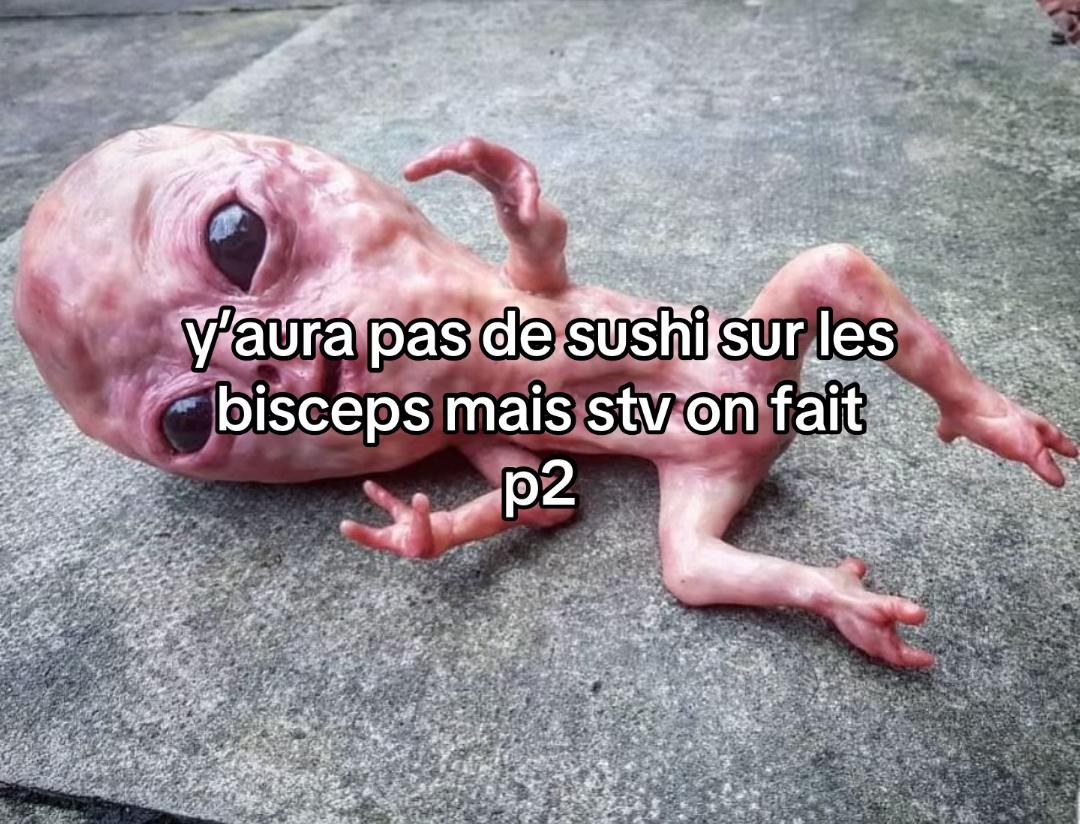 @Fakemitraillette2014