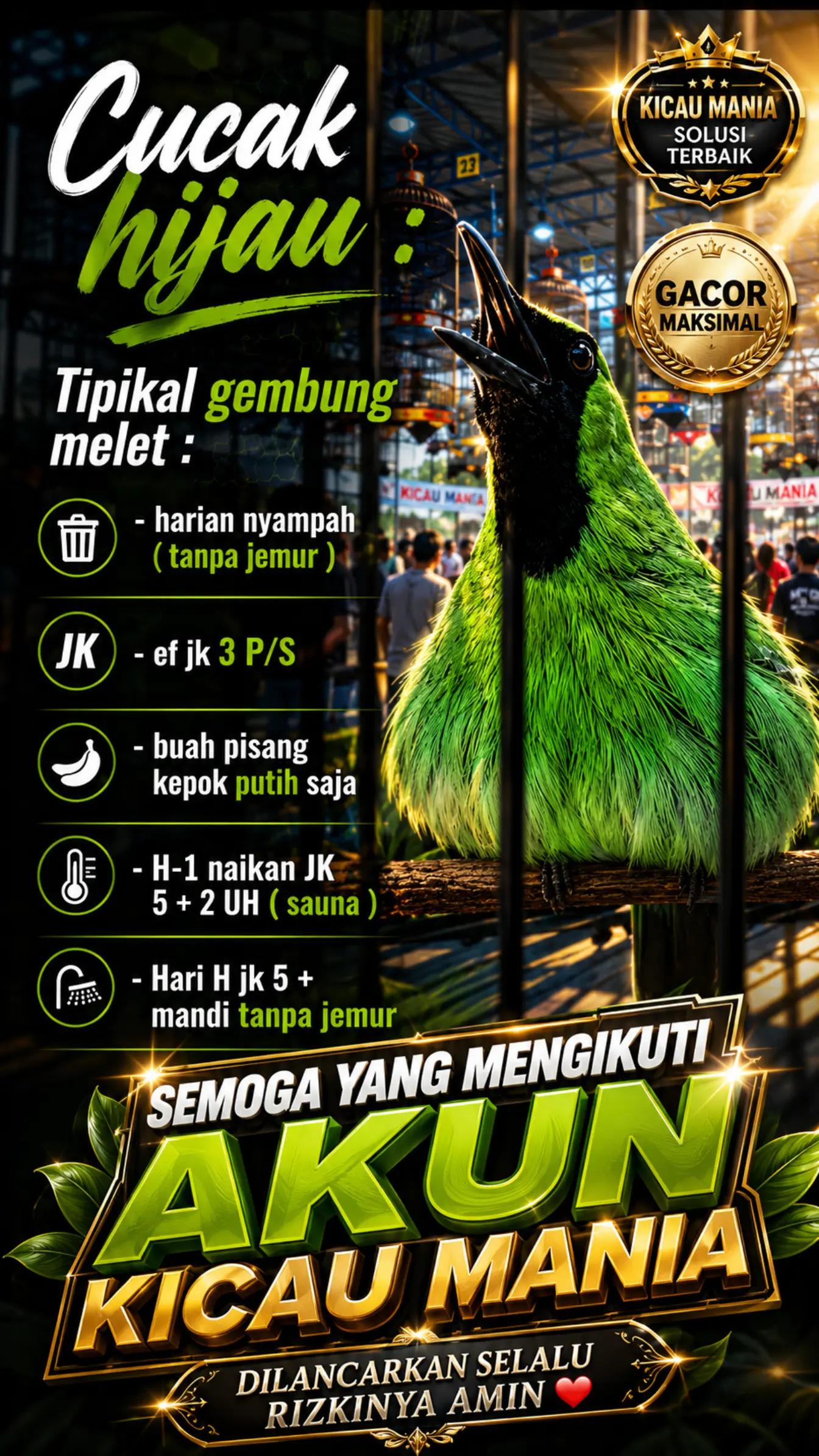 @fbkicaumania