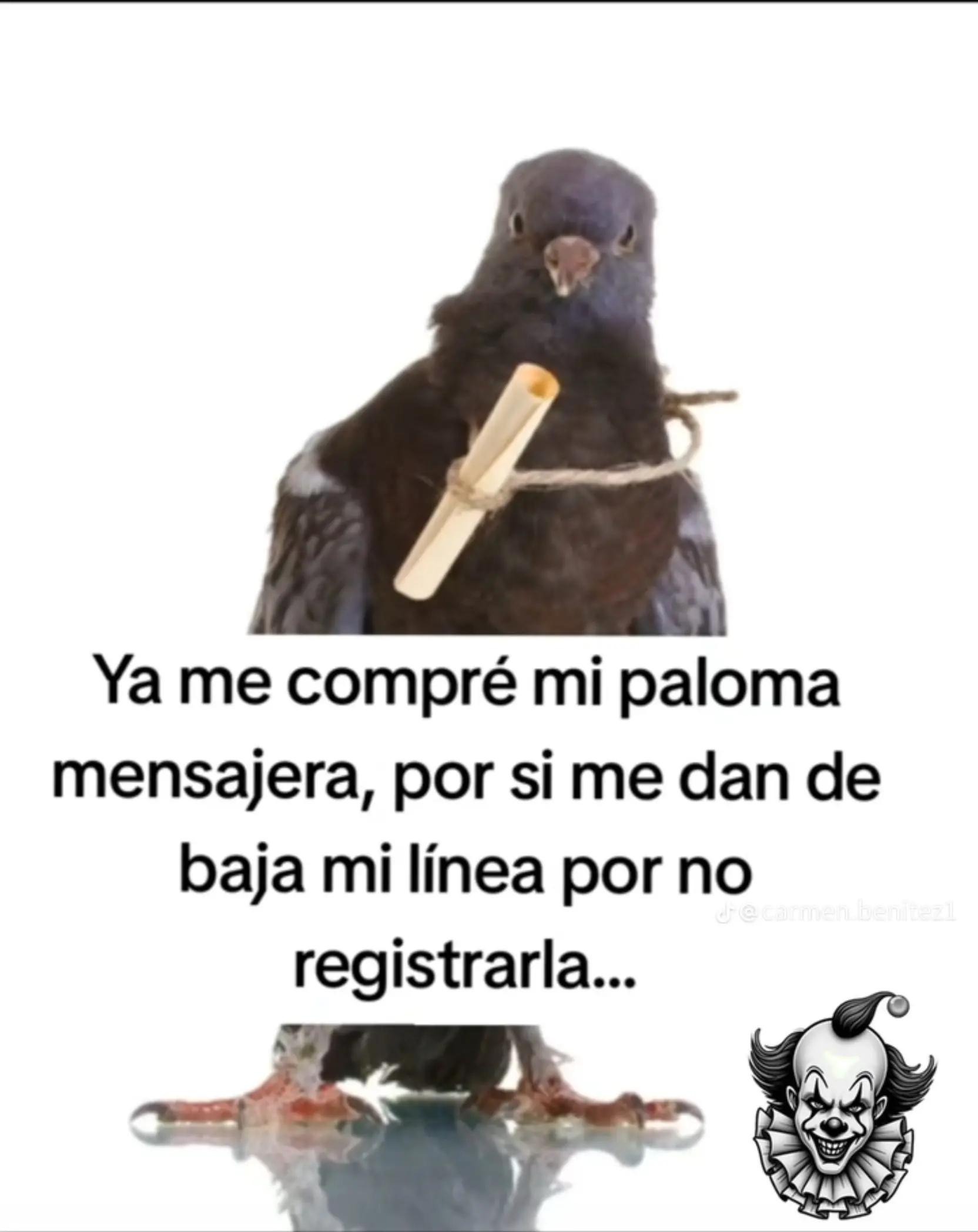 @efren Barcenas