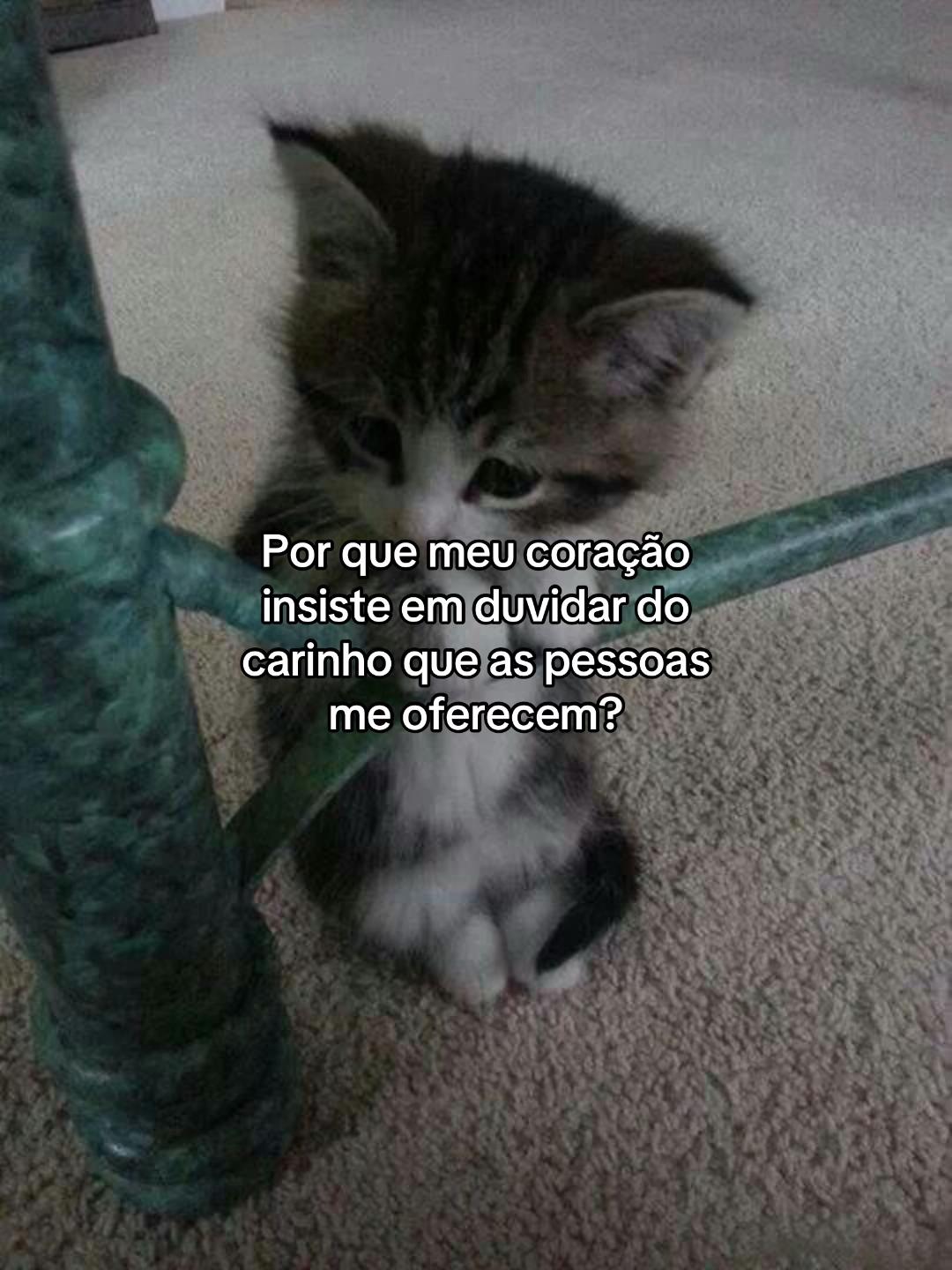 @eddie_v7