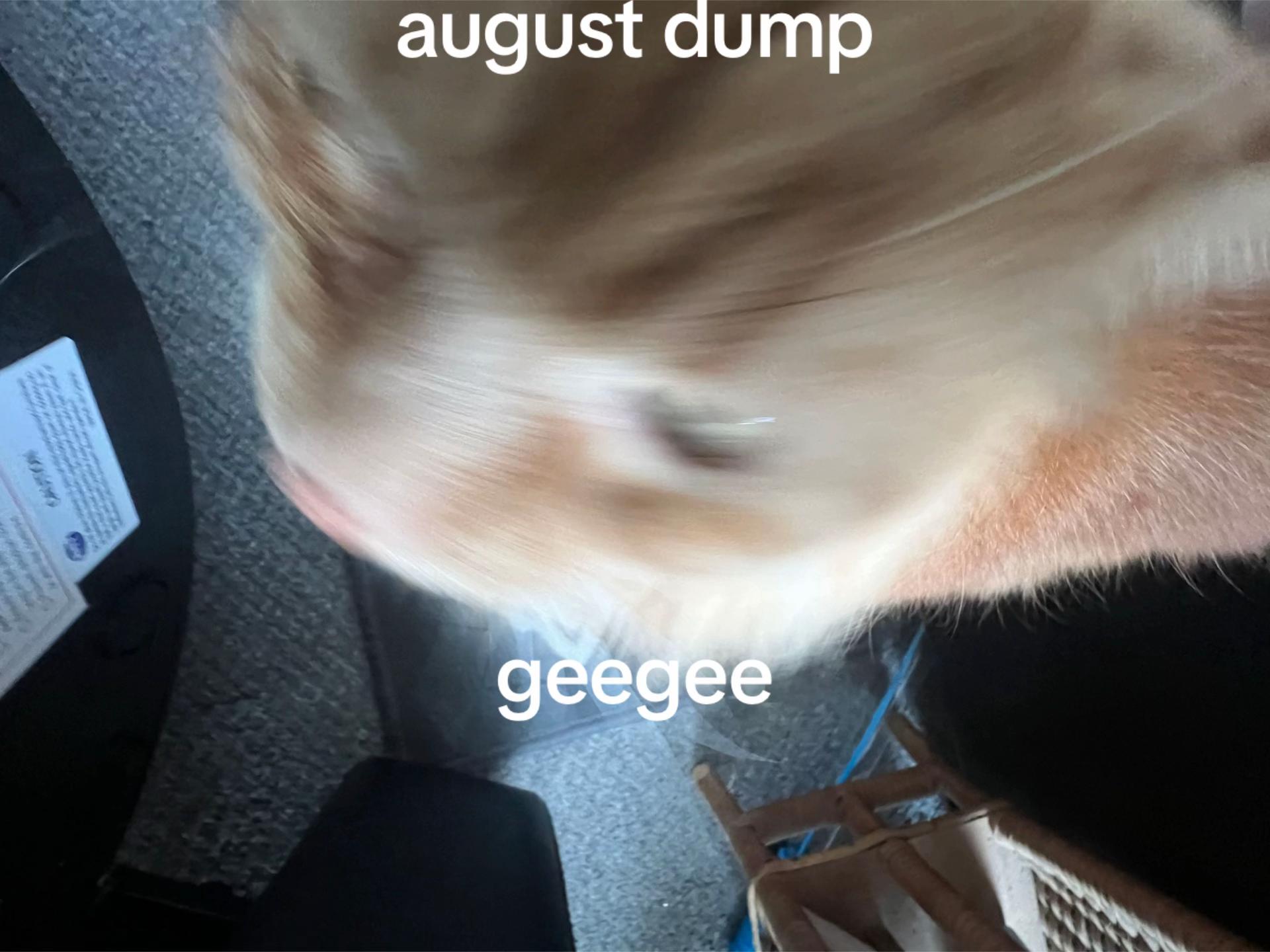 @chuli