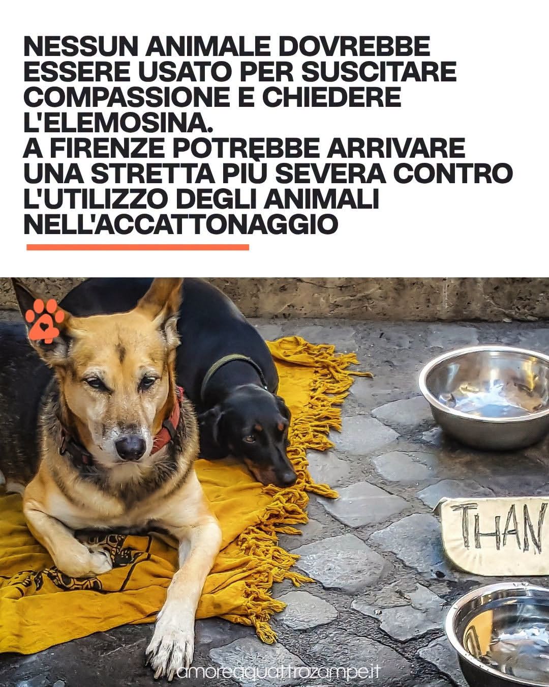 @Napoli nel cuore🩵