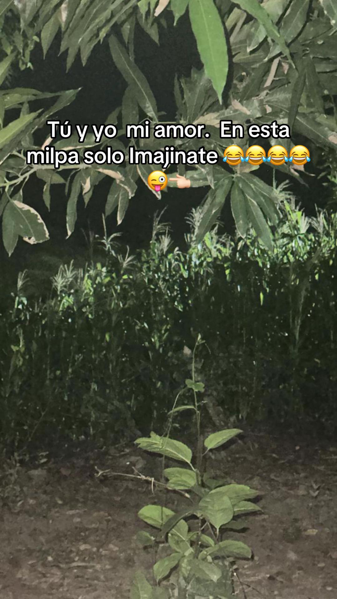 @La caperusita roja👈🏻