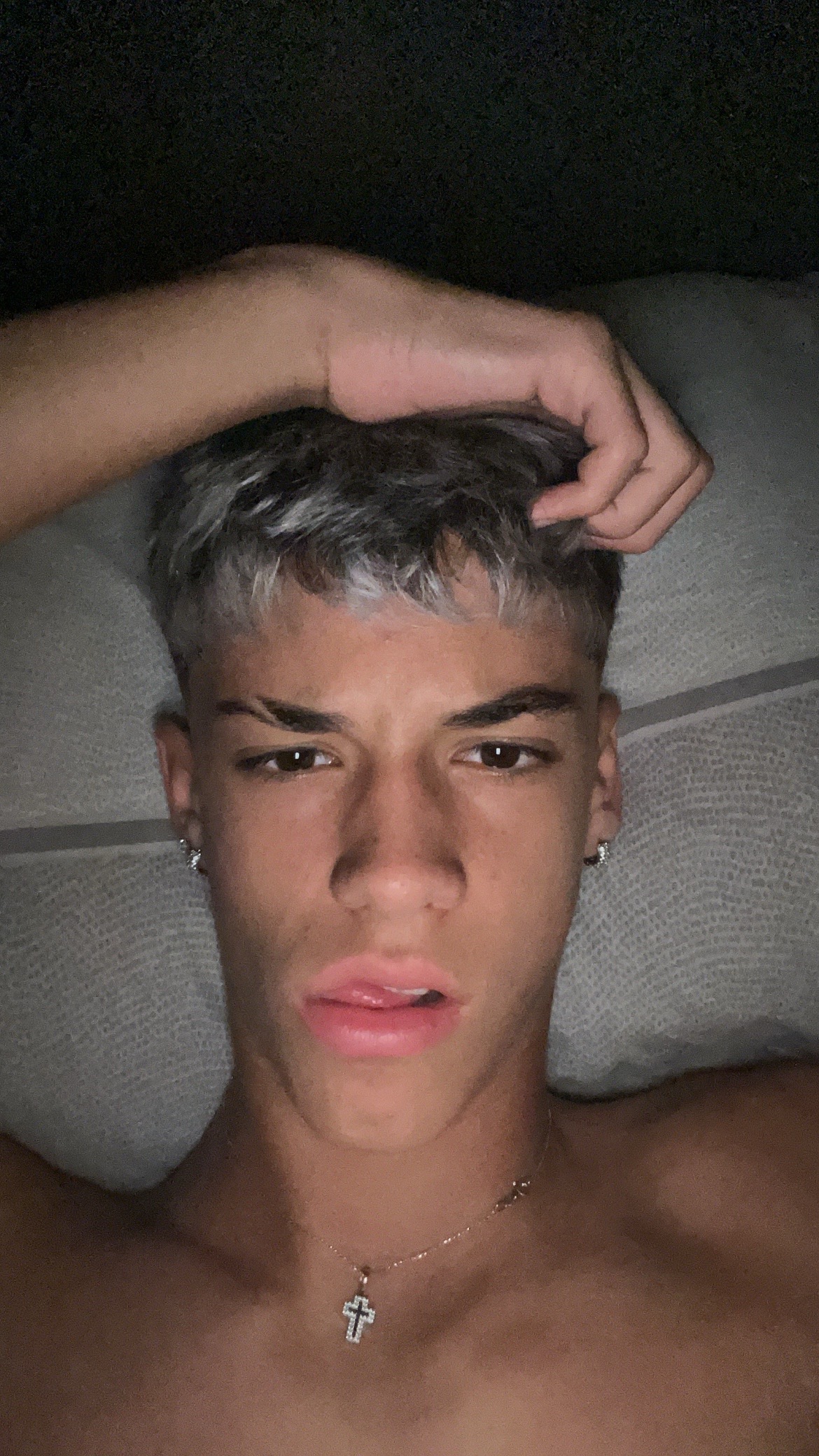 @silviodenich