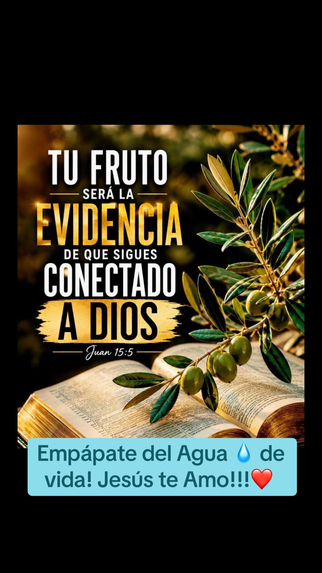 @Ministerio Luz a las Naciones