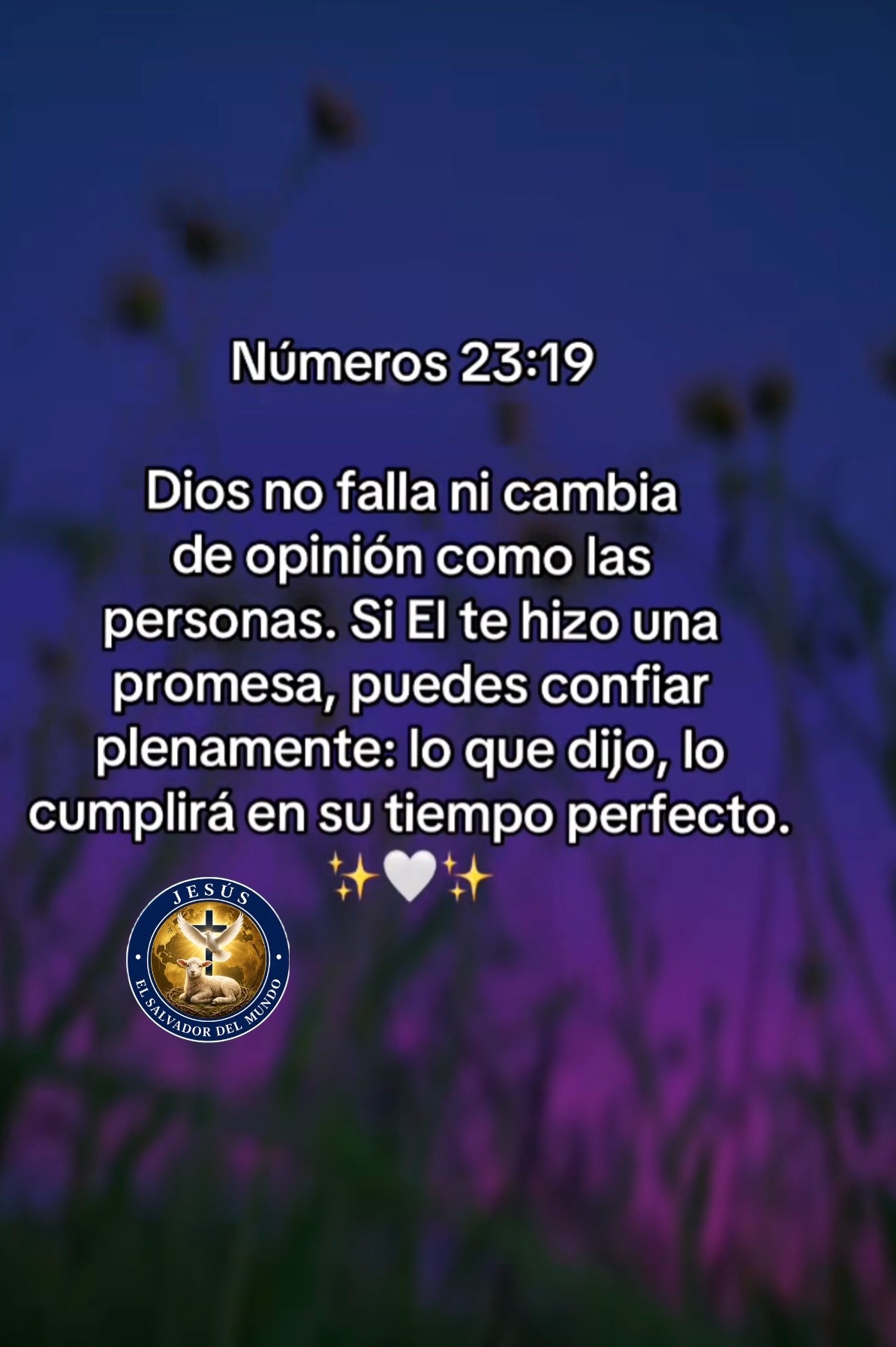 @Jesús El Salvador del mundoDdJ
