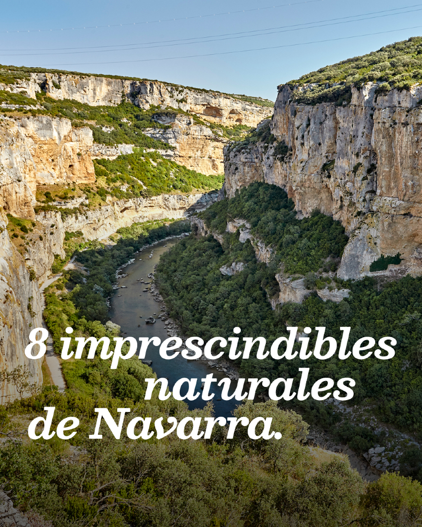 @Visit Navarra