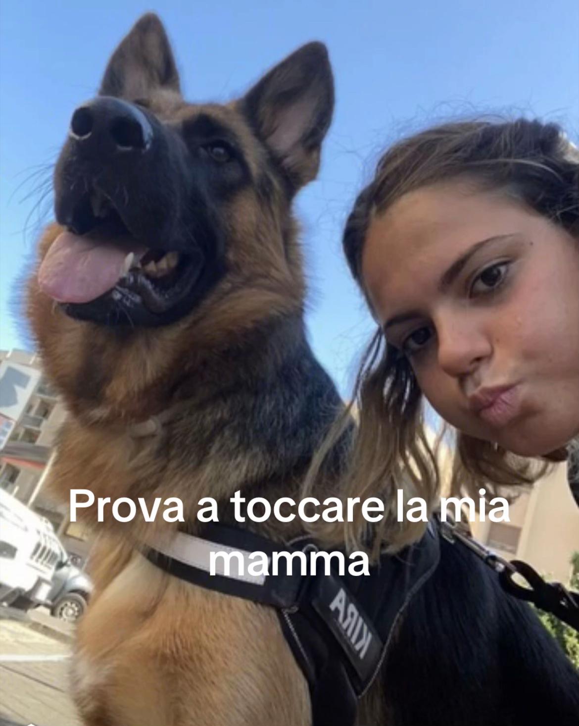 @luigibracciante
