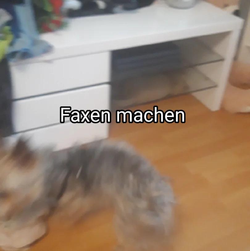 @𝐕 𝐚 𝐥 𝐥 𝐞 𝐧 𝐭 𝐢 𝐧 𝐚