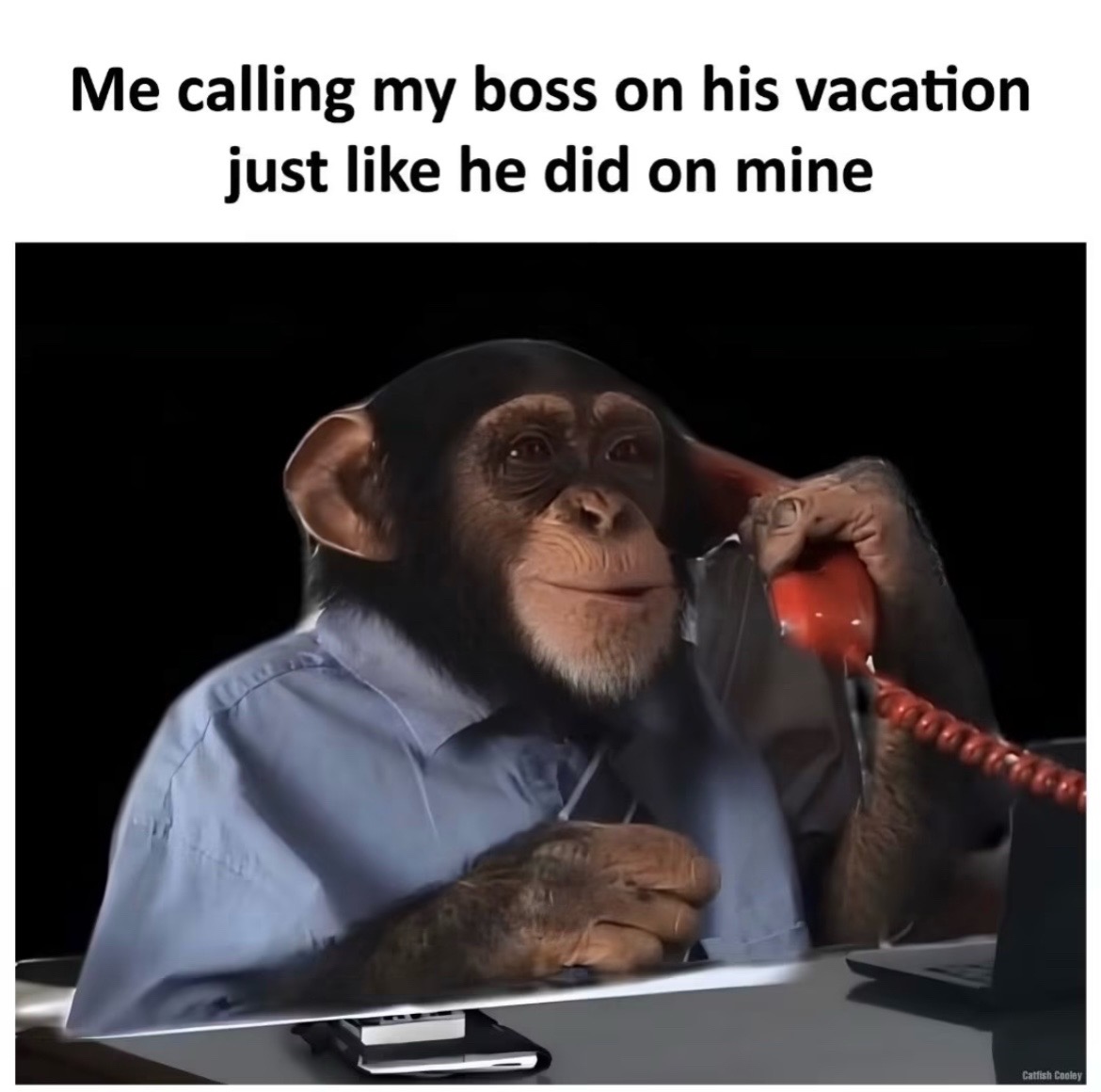 @Jason