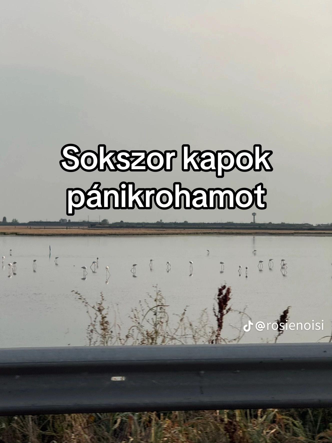 @๐ฝ๐๐๐๐๐พ๐ถ๐๐๐๐พ๐๐๐๐