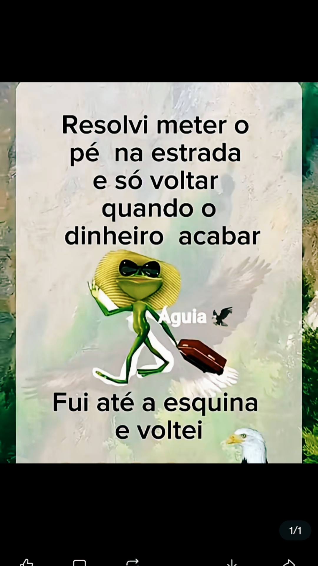 @mary Gomes 540.🩷🧿dan&ccedil;a
