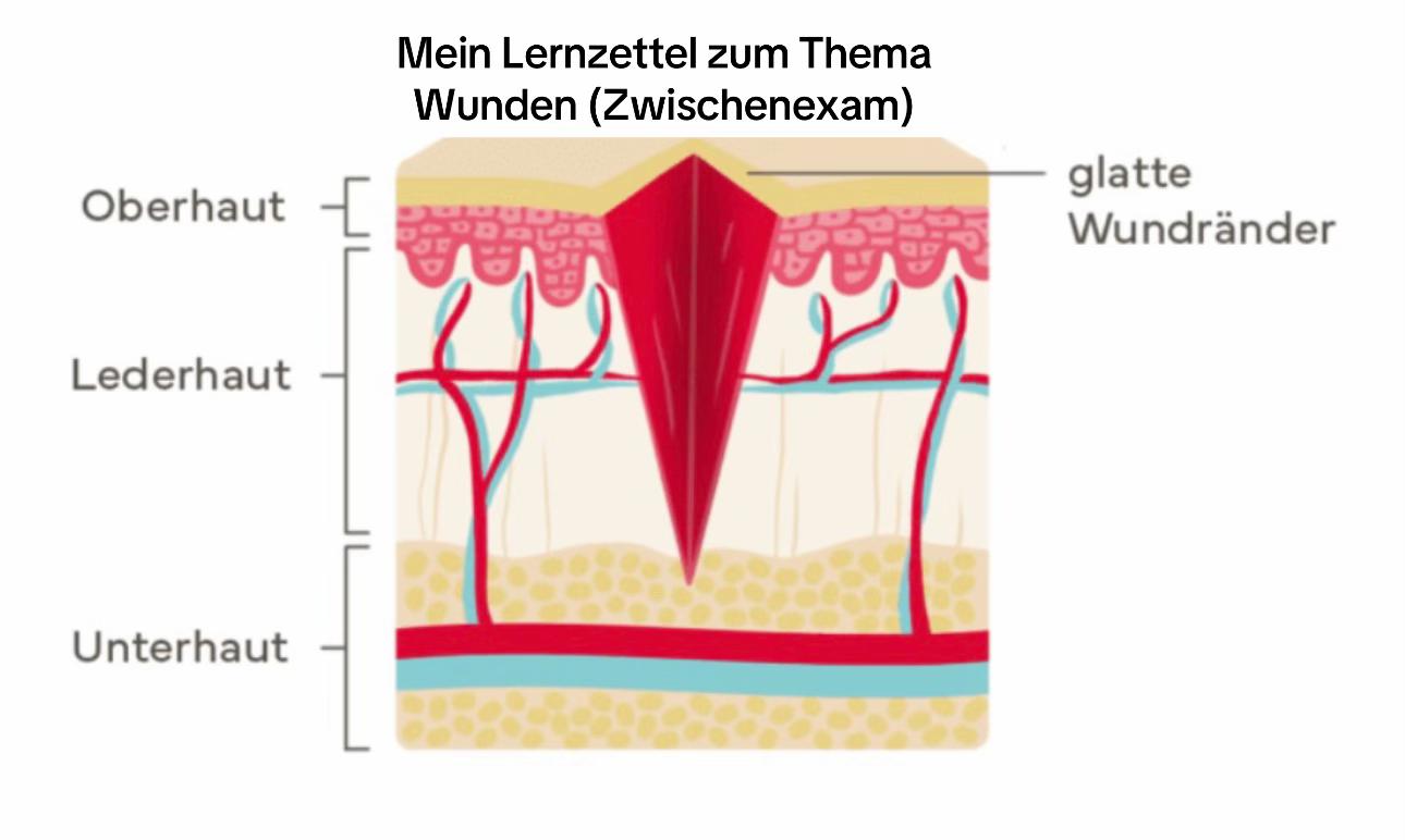 @pflegemaus