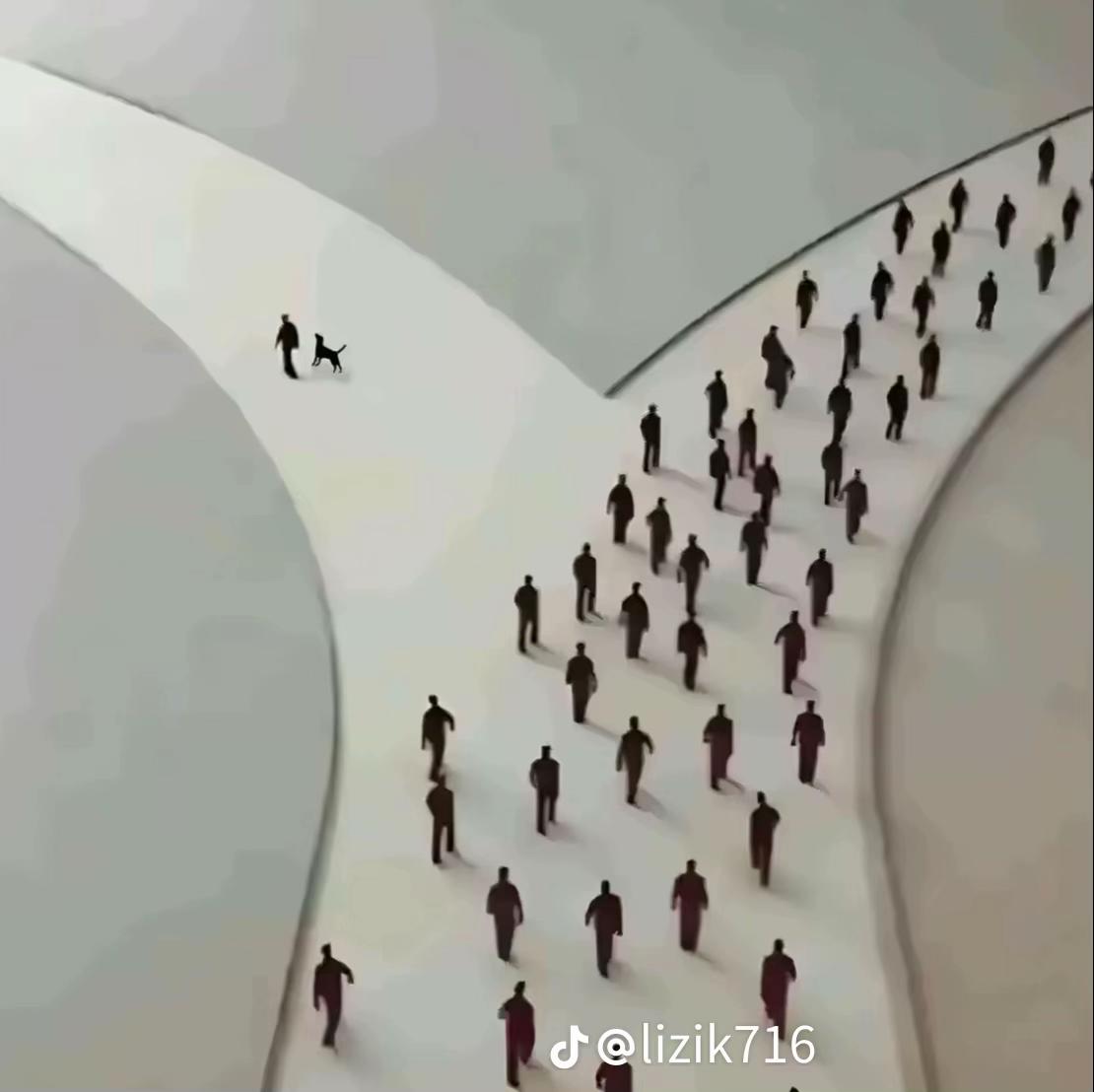 @alinziq🦎