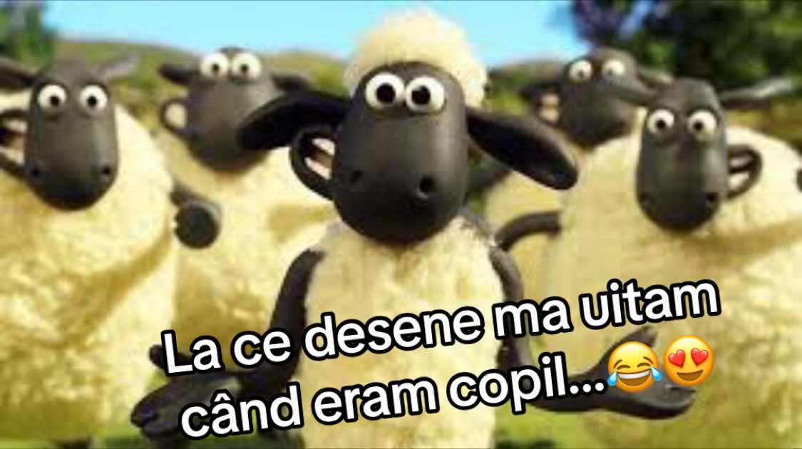 @Daniel Chifor