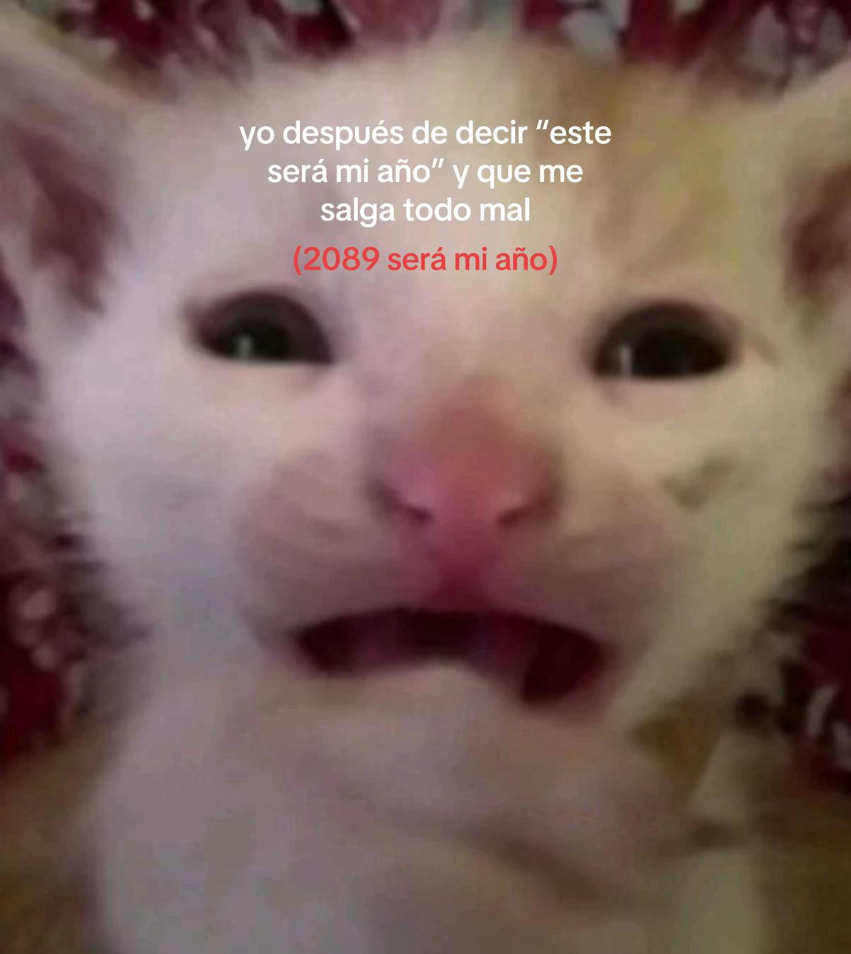 @secretaaaas