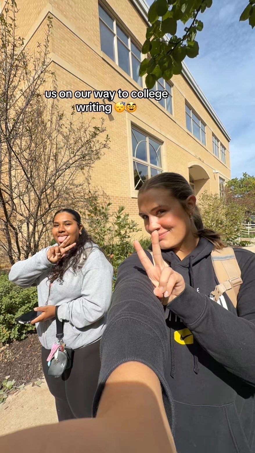 @Laraib_d