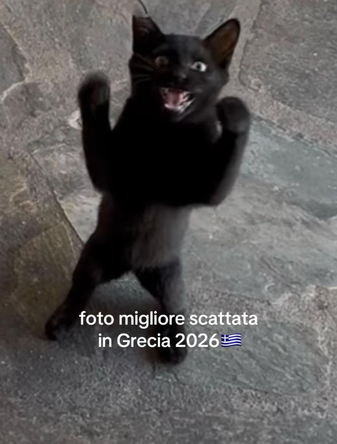 @vabbuoooon