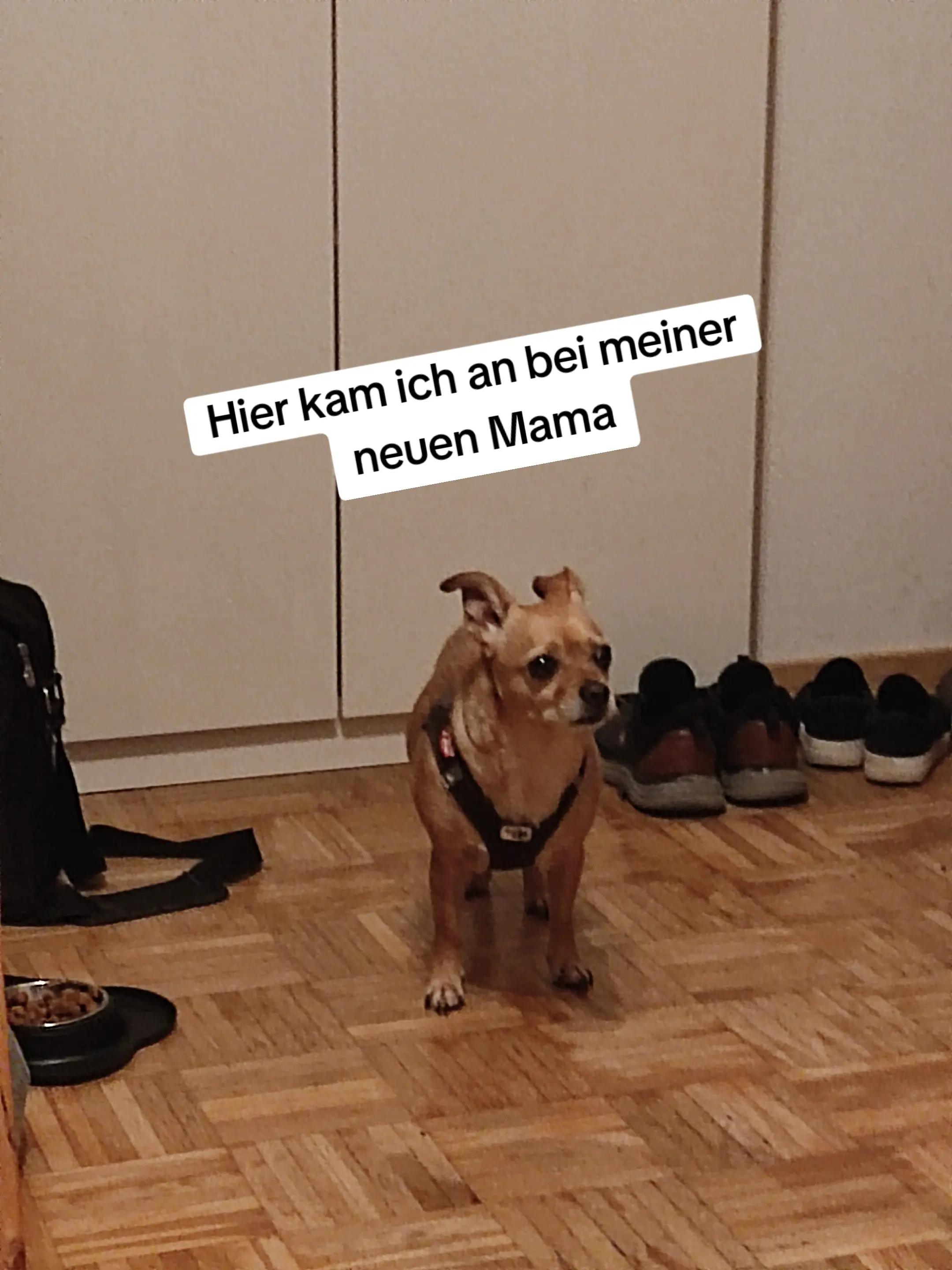@❤️Kathi❤️Milow🐕❤️
