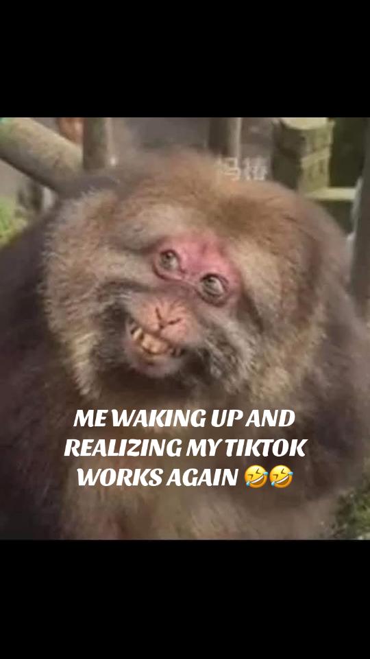 @ǍŇŤŘǍXŁǍBŽ🎰