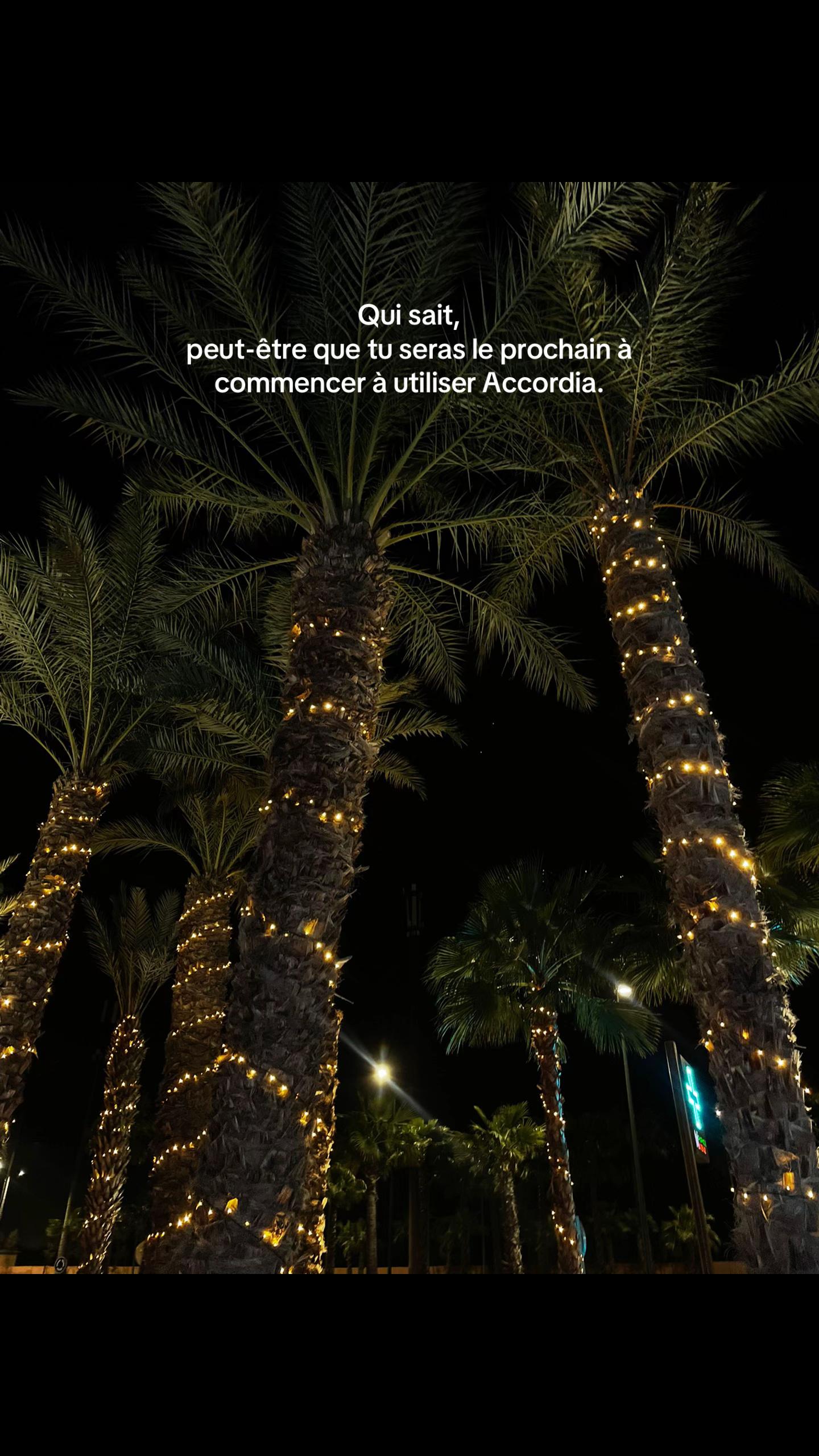 @Accordia