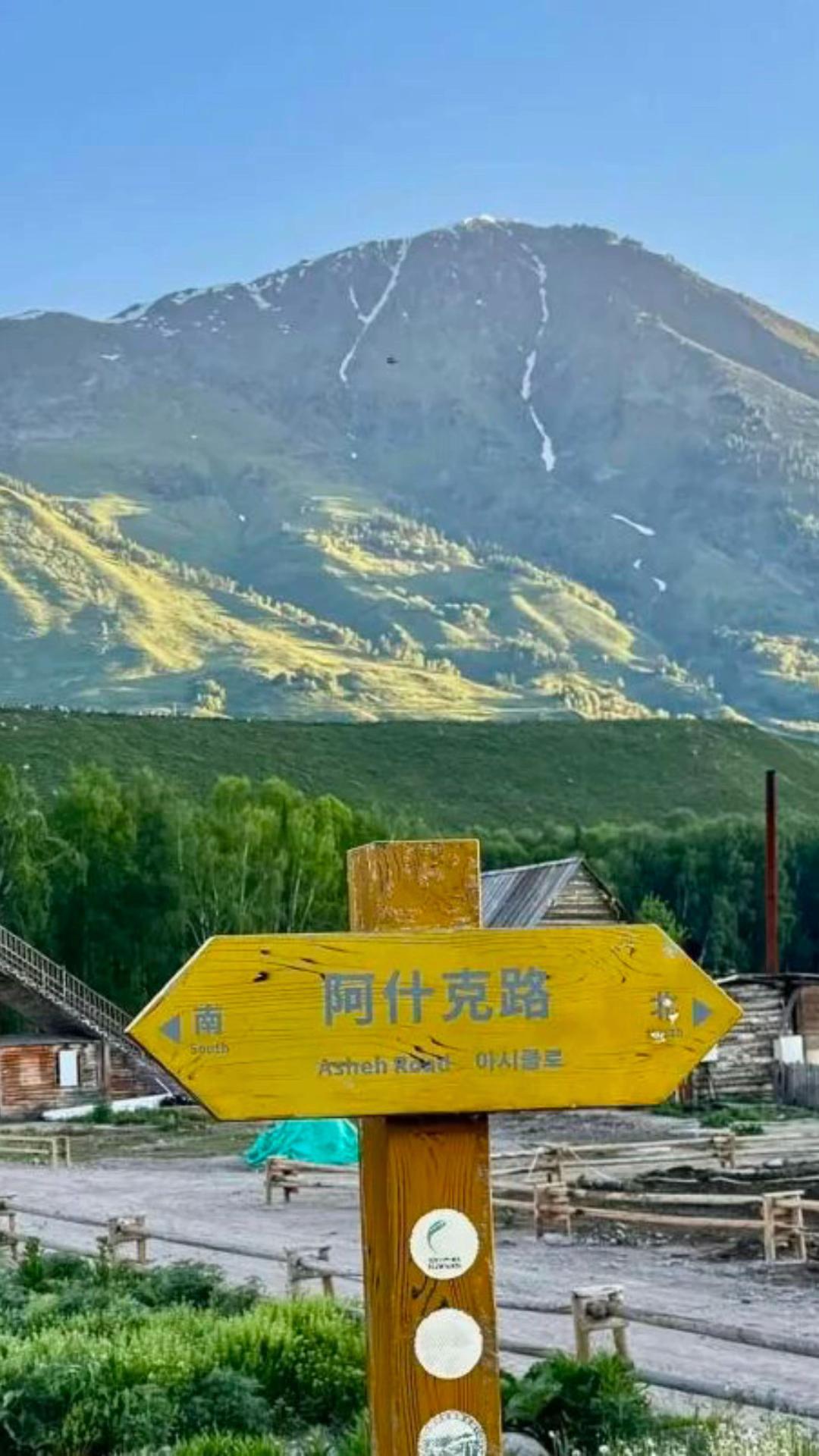 @樂觀活潑開朗的小艾