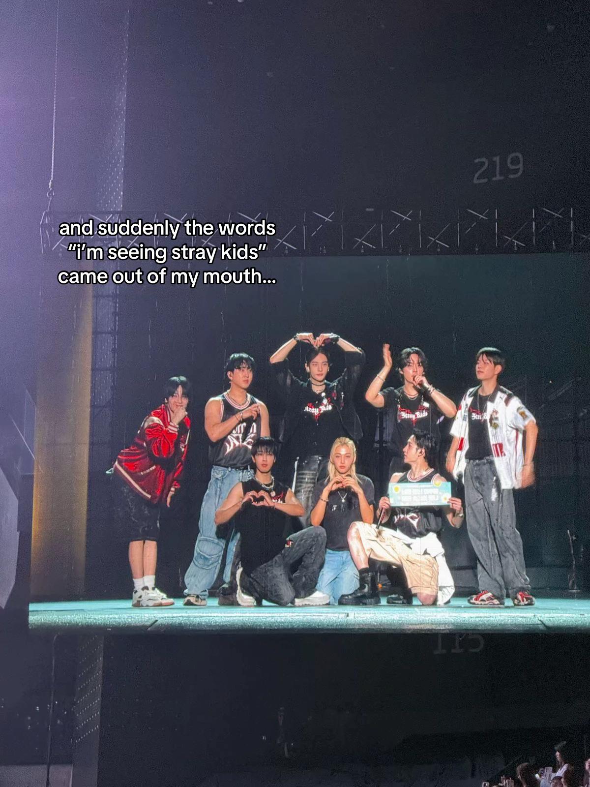 @shanˢᵏᶻ☯︎ SAW SKZ