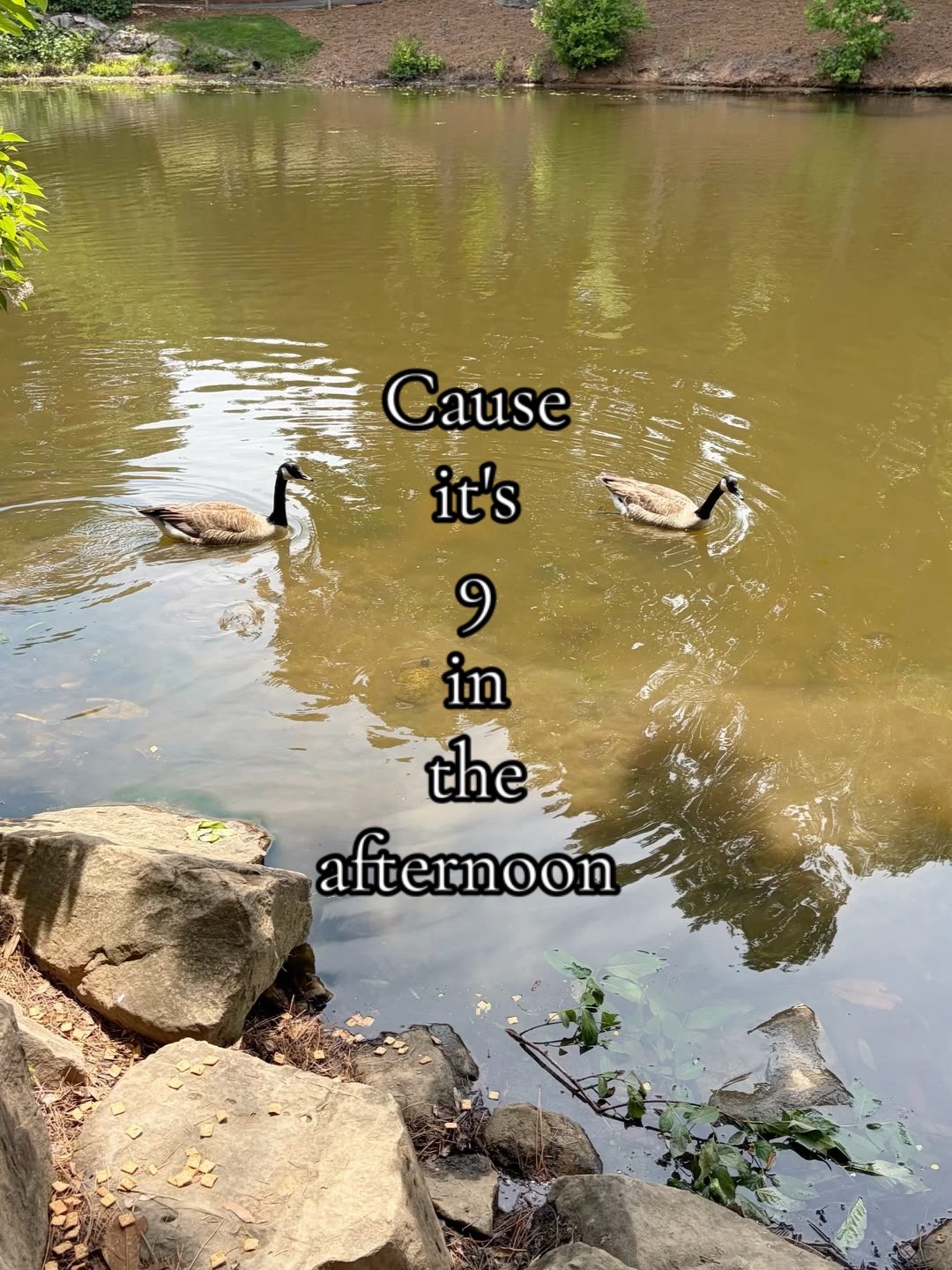 @♫