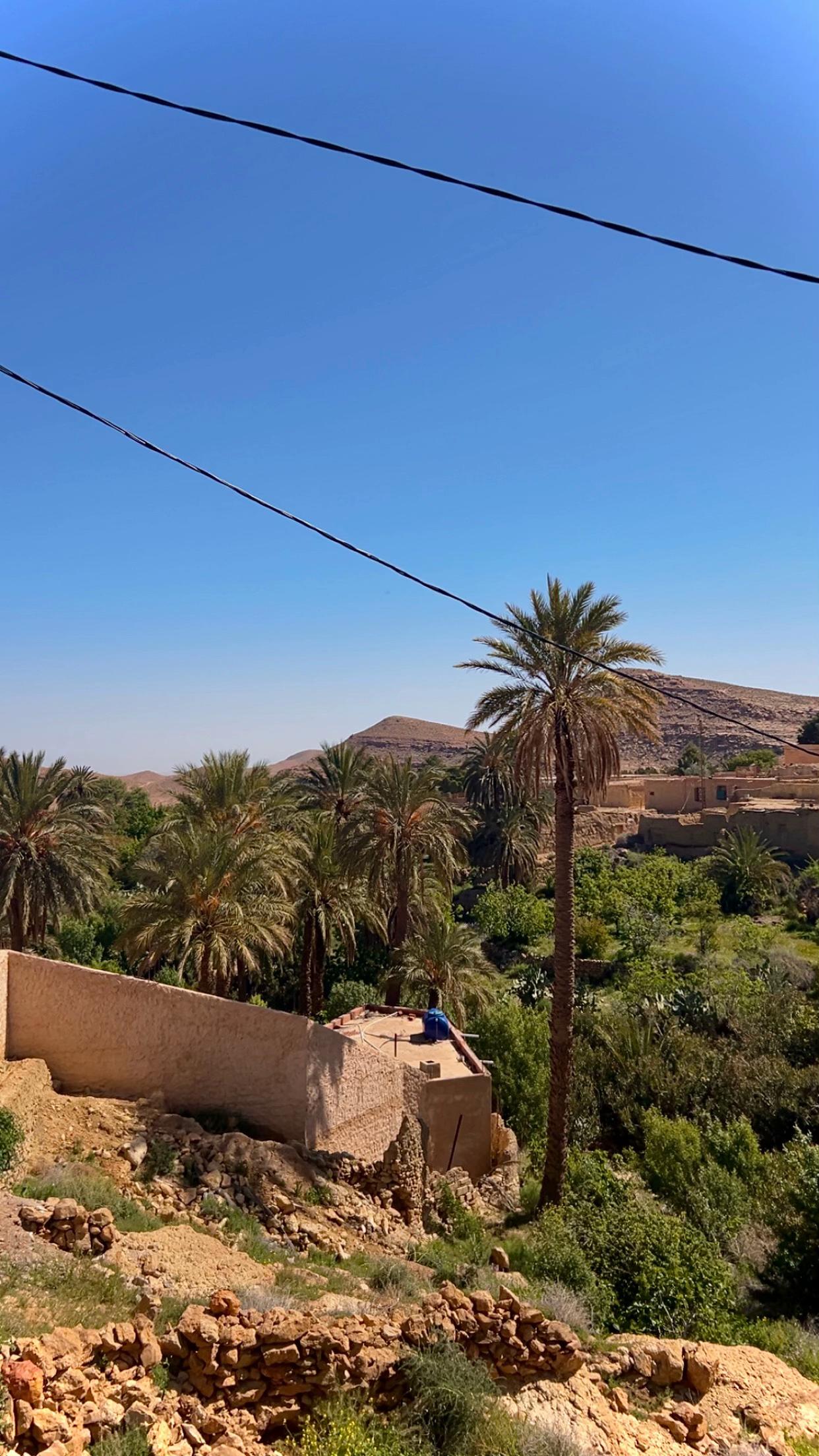 @𝚔̷𝚎̷𝚗̷𝚣̷𝚊̷🇩🇿ⵣ