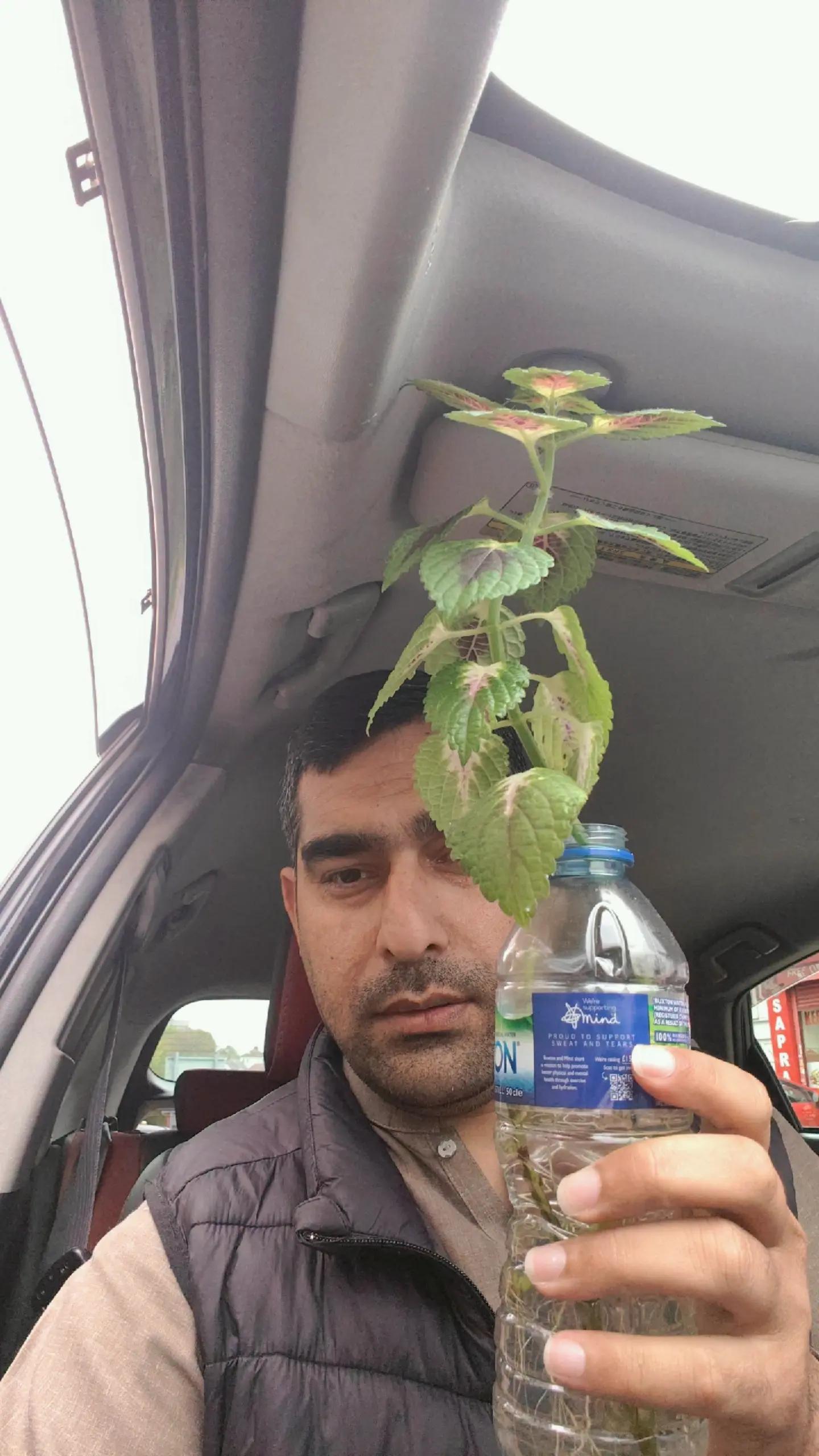 @Jawad Khan