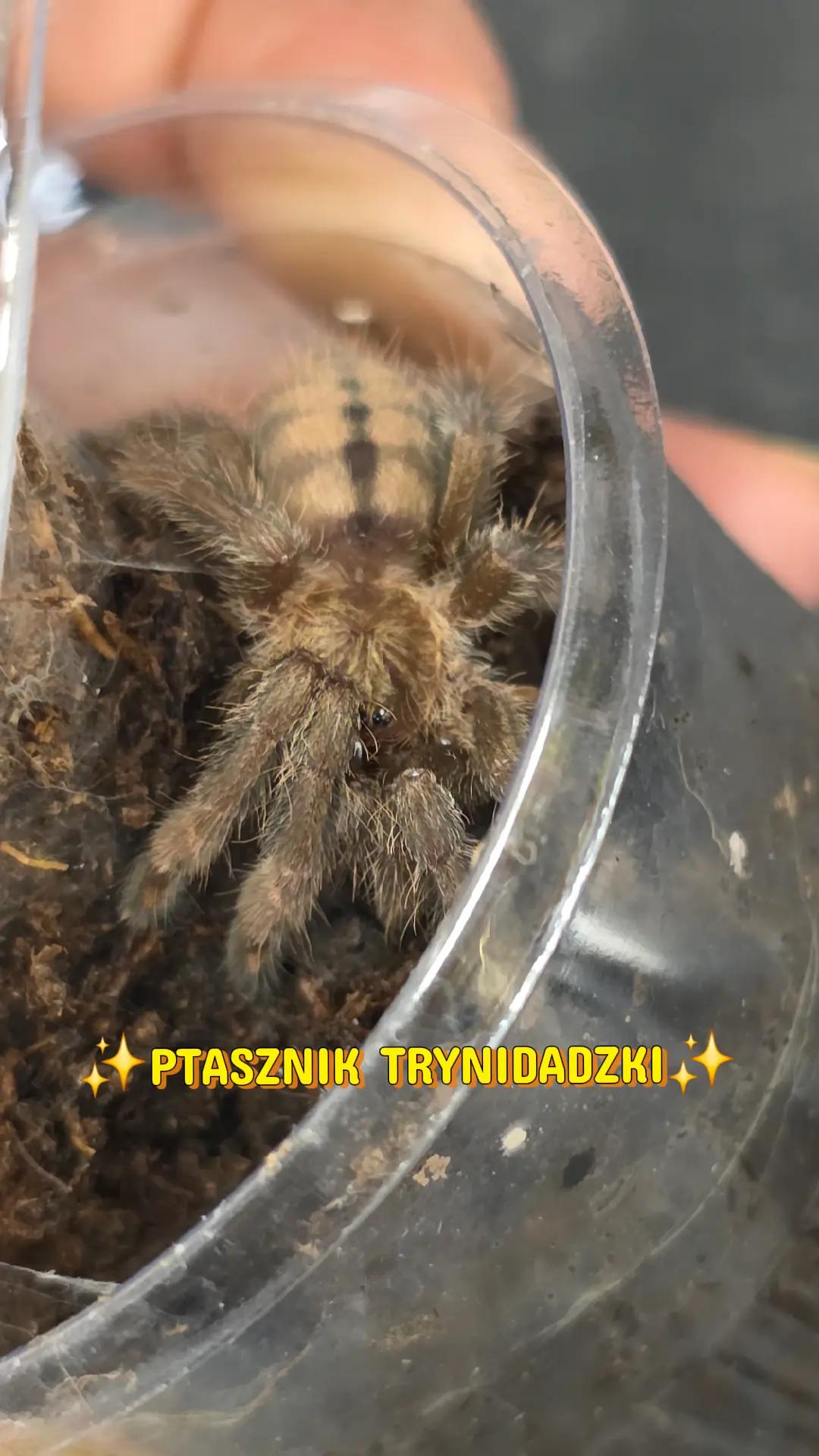 @Family Pets & Zoo TCZEW