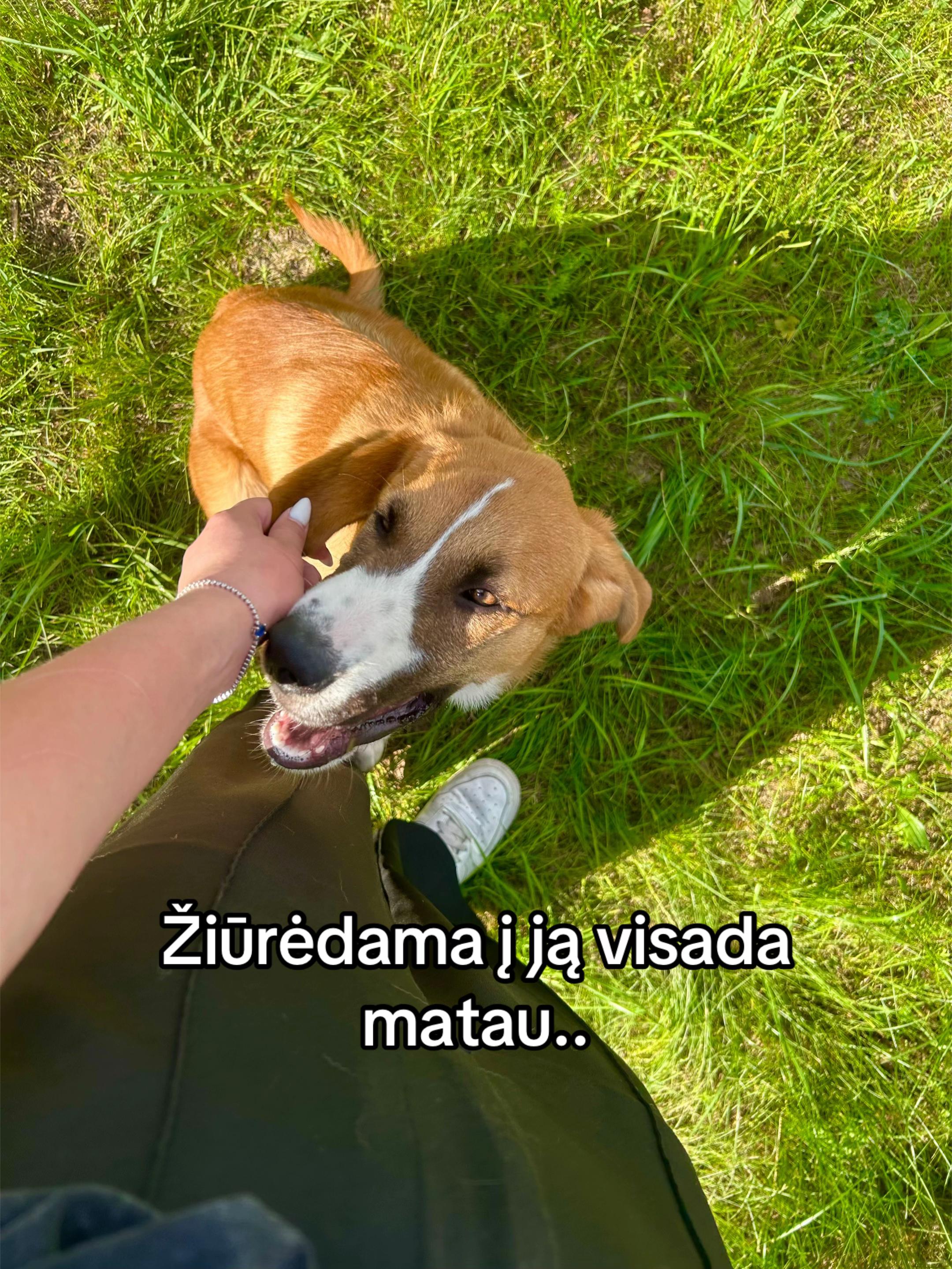 @kotrynute.a