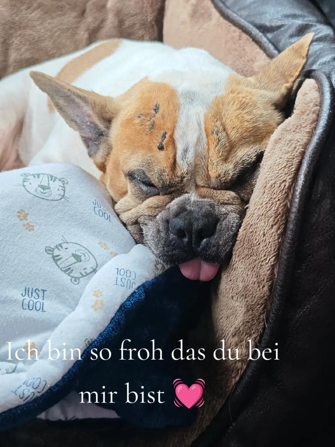@Vici🔥Die_Echte