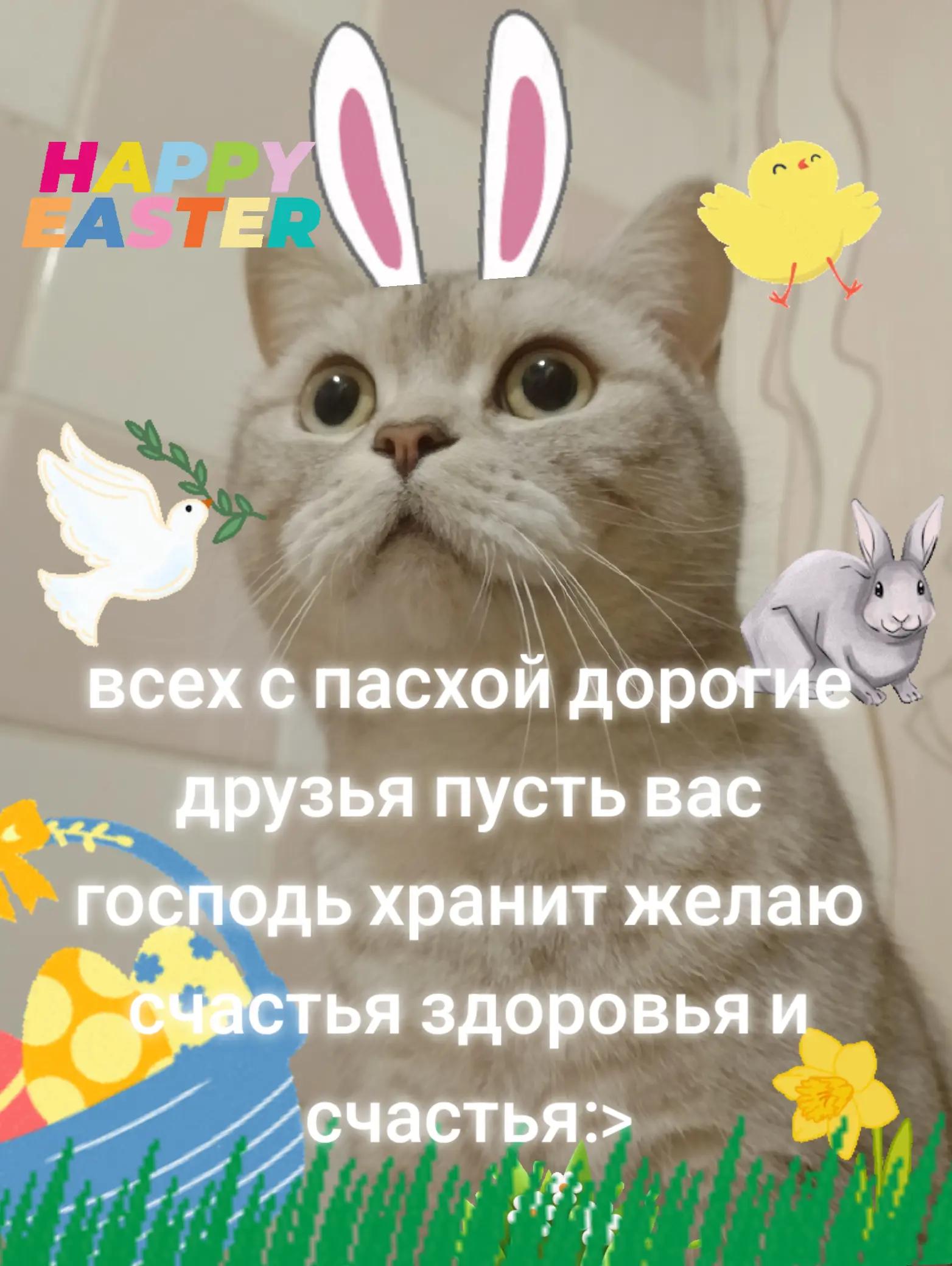 @🍨❄️🌨️~𝕄𝕣.𝕐𝕦𝕜𝕚~🌨️❄️🍧
