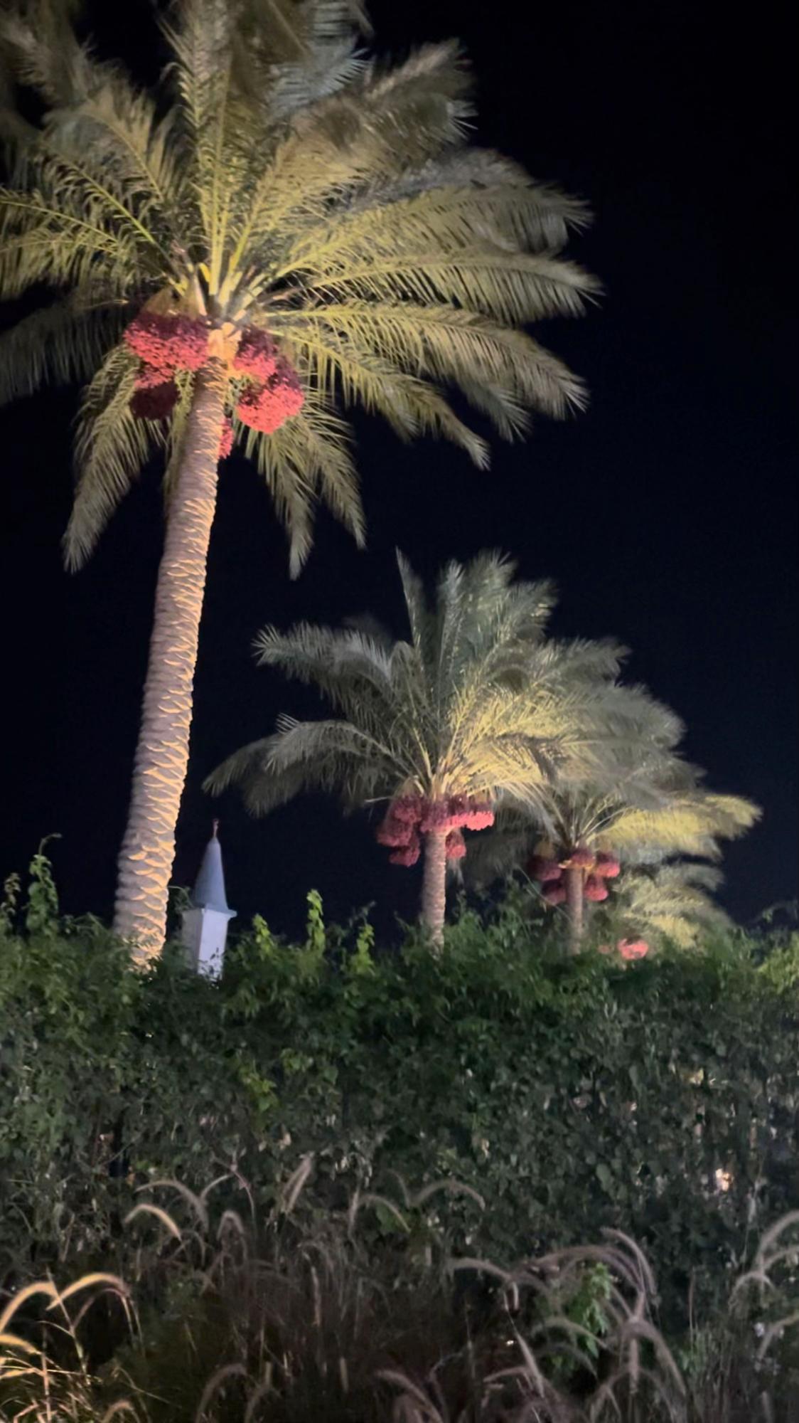 @𝐋𝐚𝐫𝐚