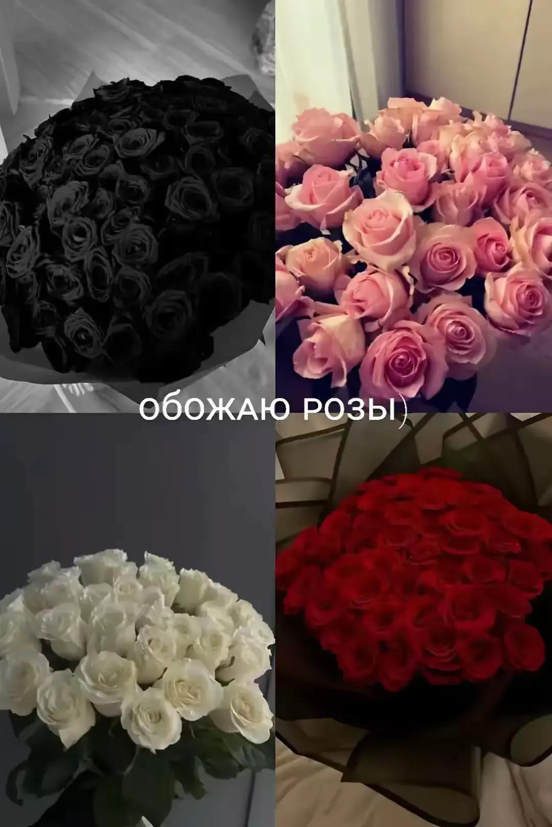 @kwiivis