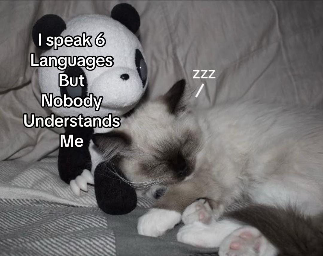 @Ⲇⲁʀⲓⲁ★彡