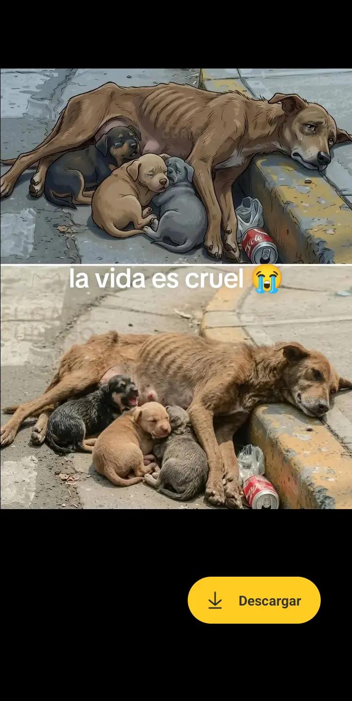 @varcan❤️