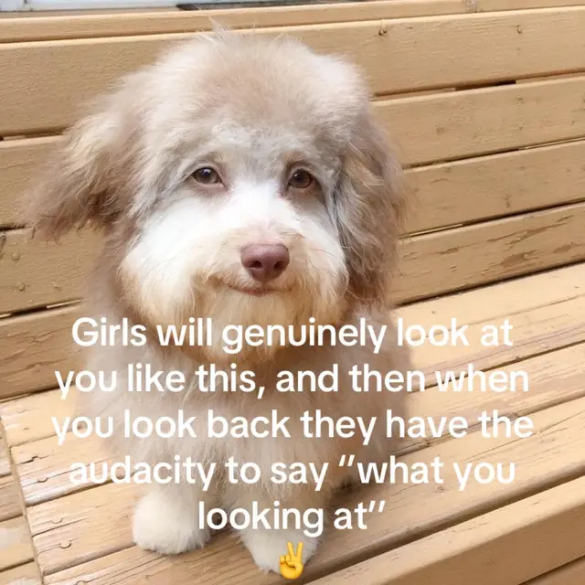 @damiaxcc