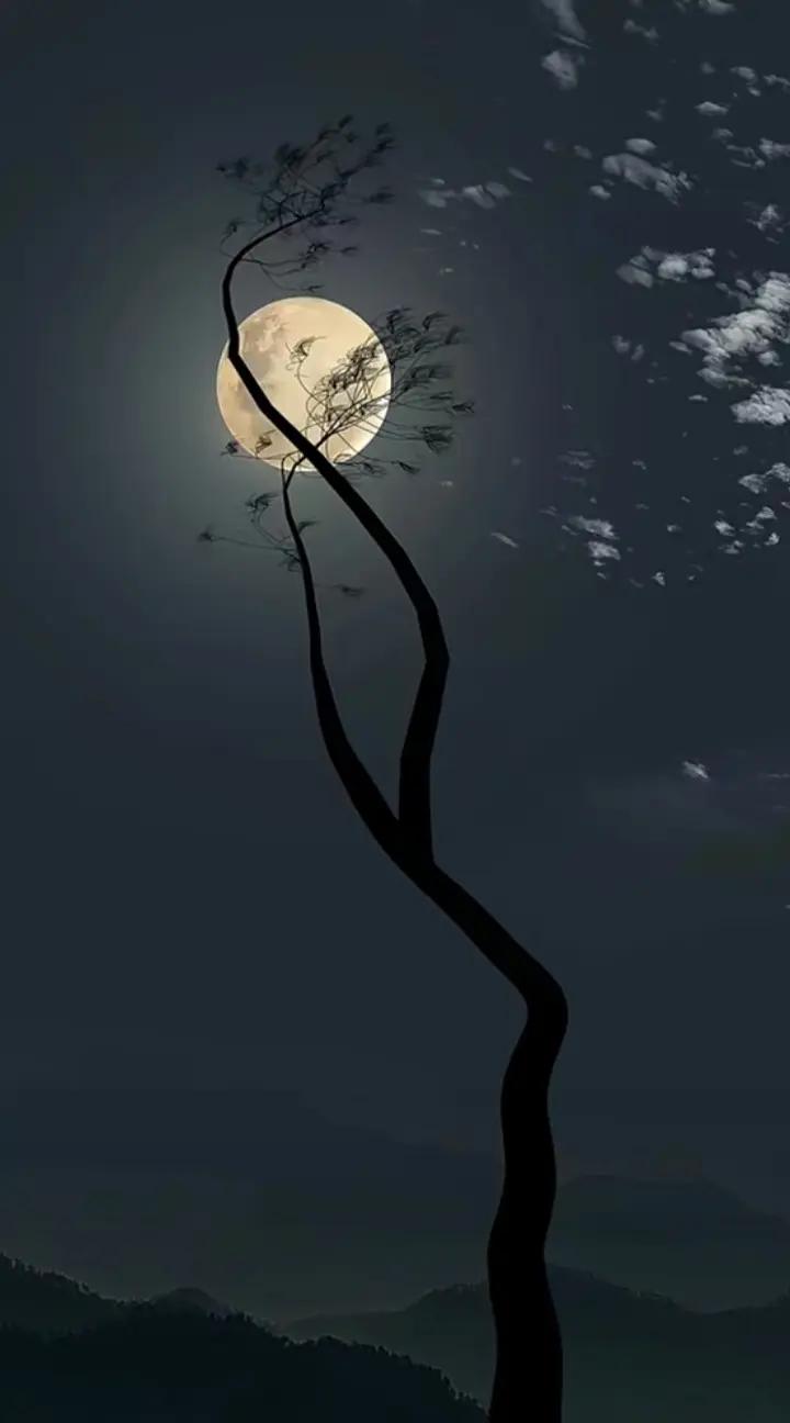 @GIOVANNI 💫