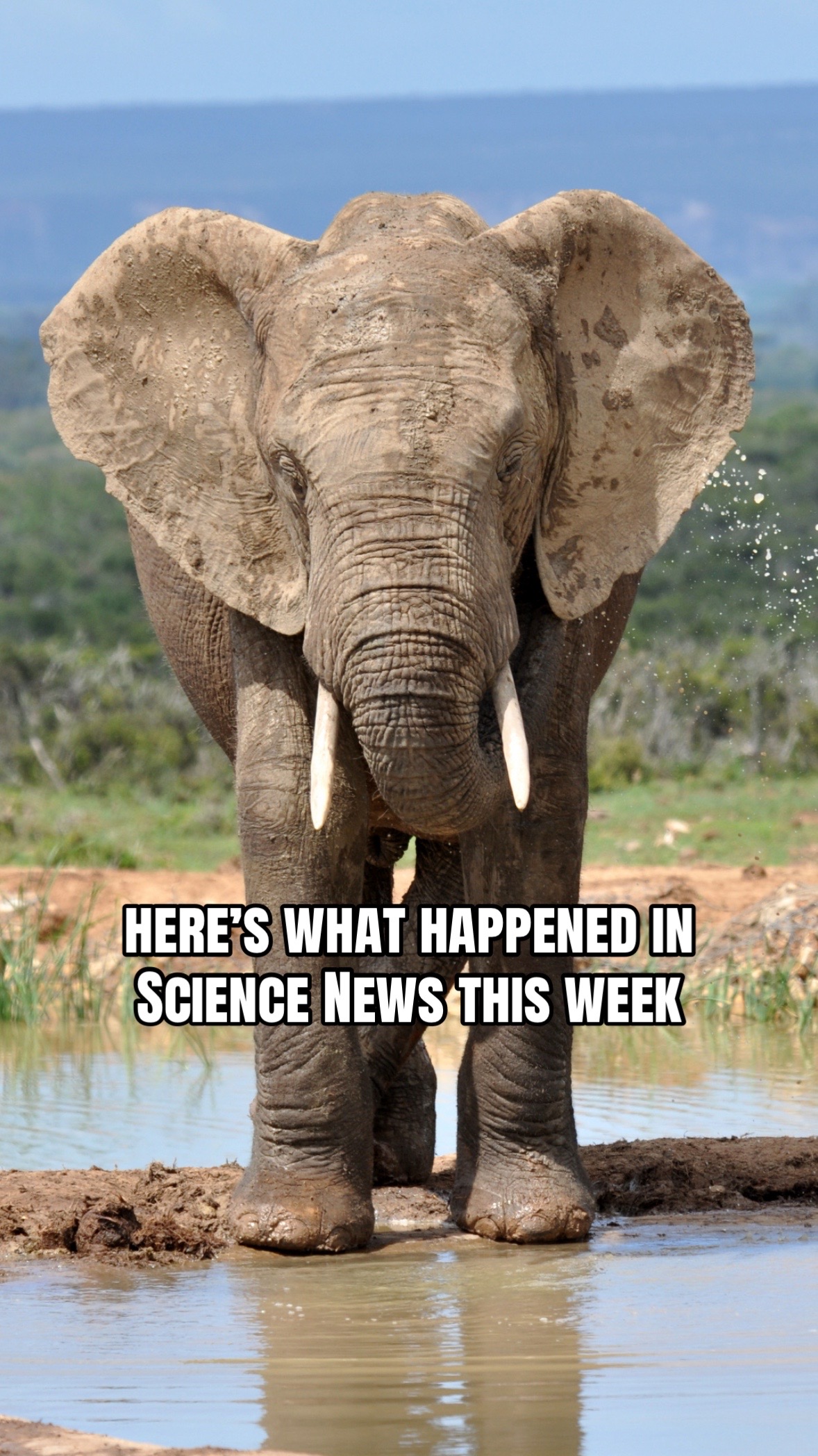 @Science News