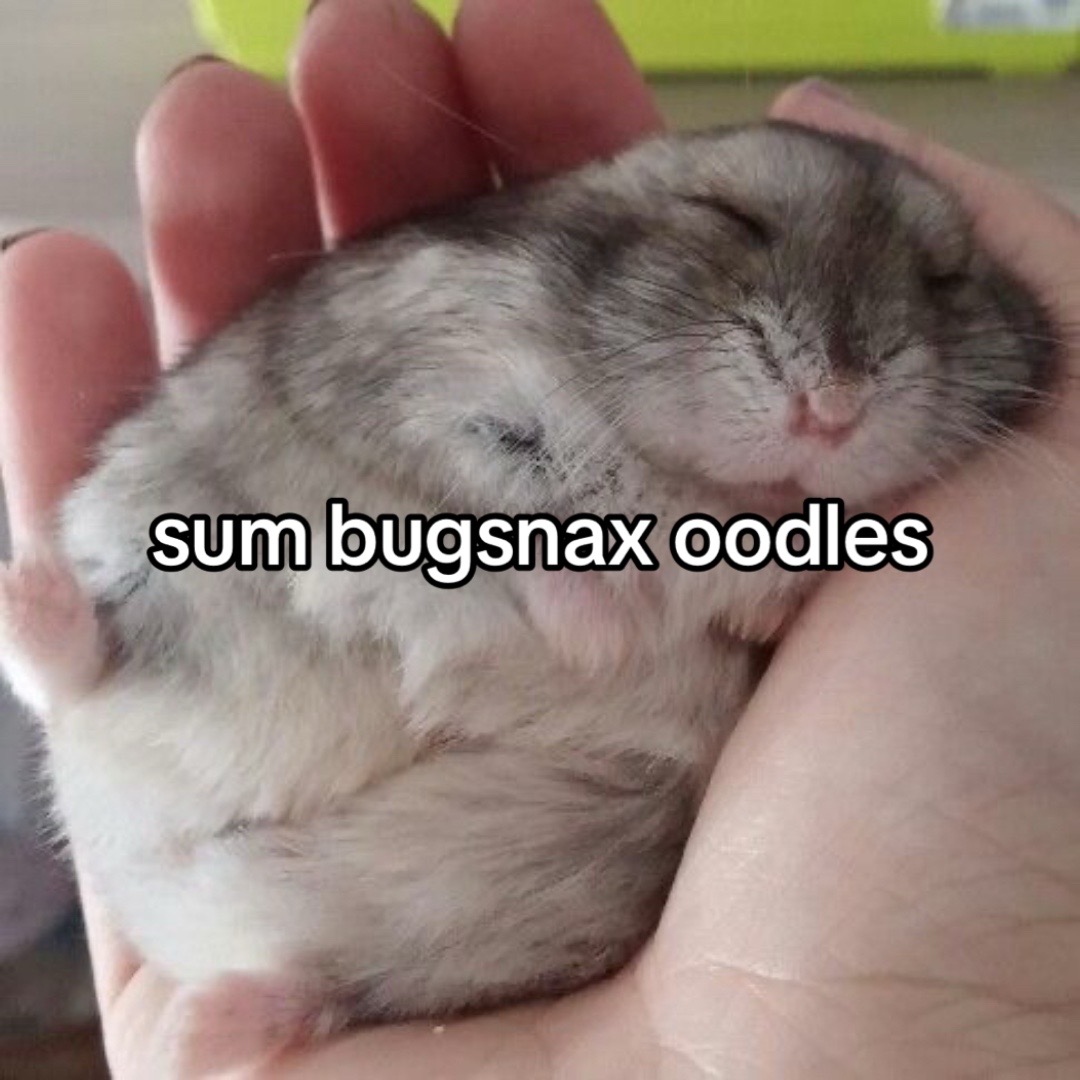 @ryai ★ snax