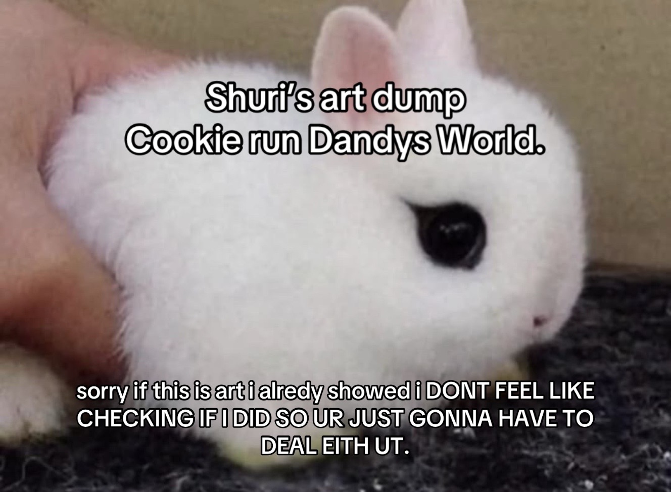 @★ SHURI ★