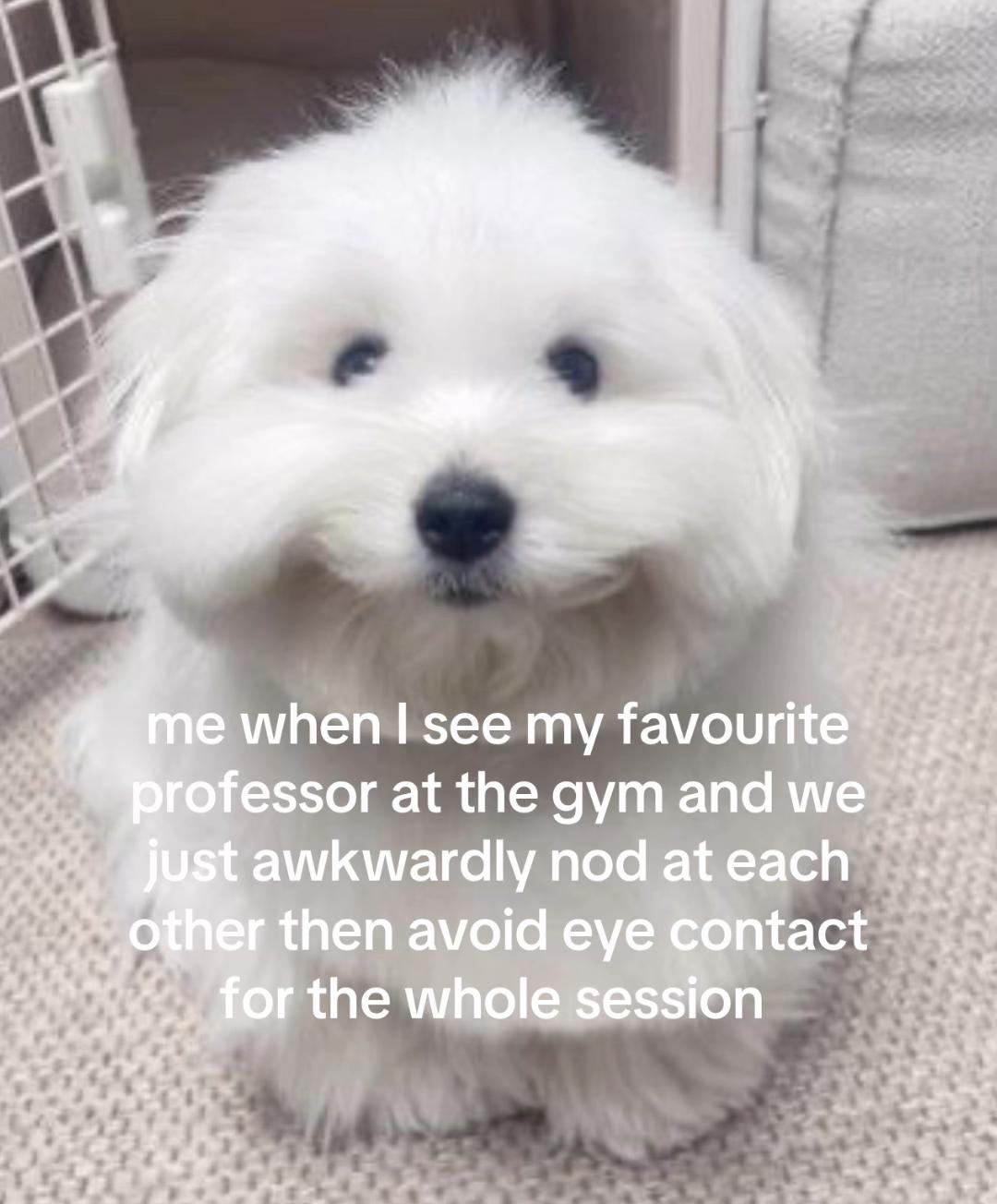 @sara ⚢